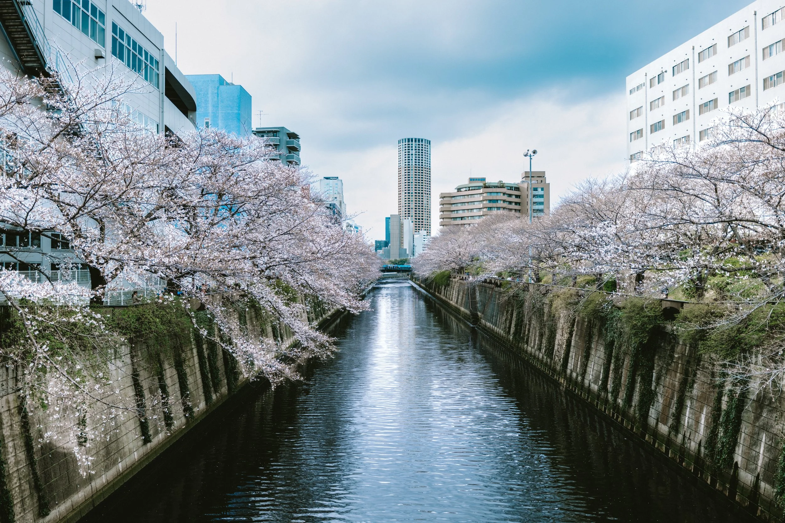 Meguro River
