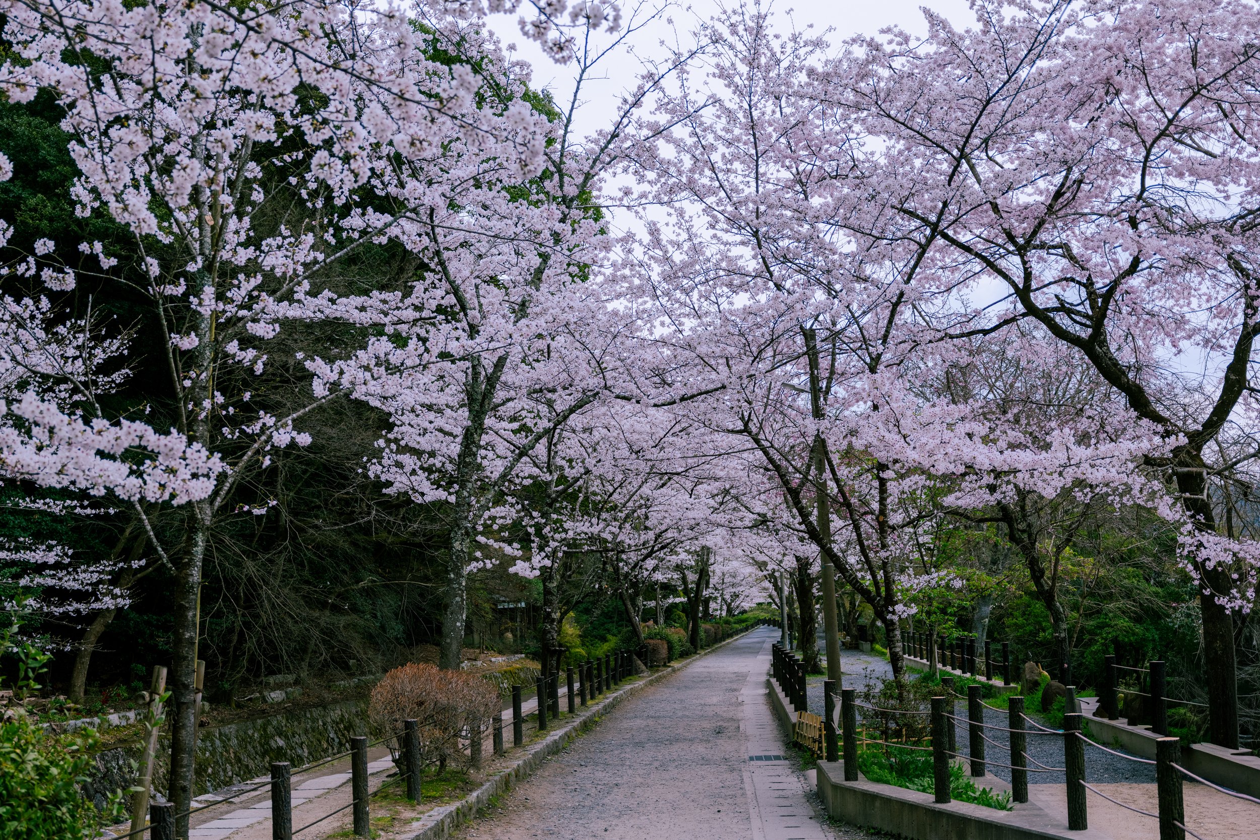 Philosopher's Path