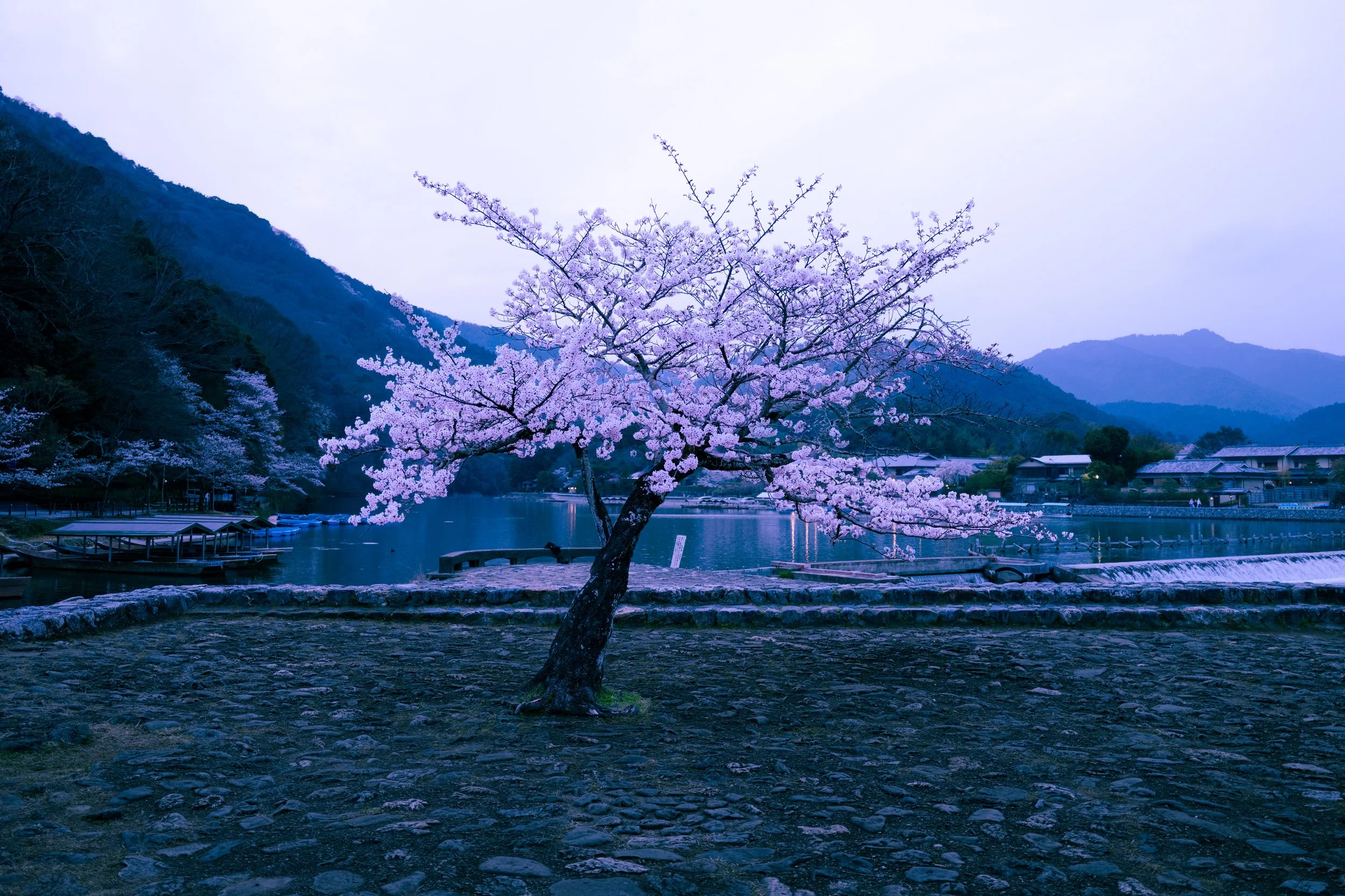 Arashiyama