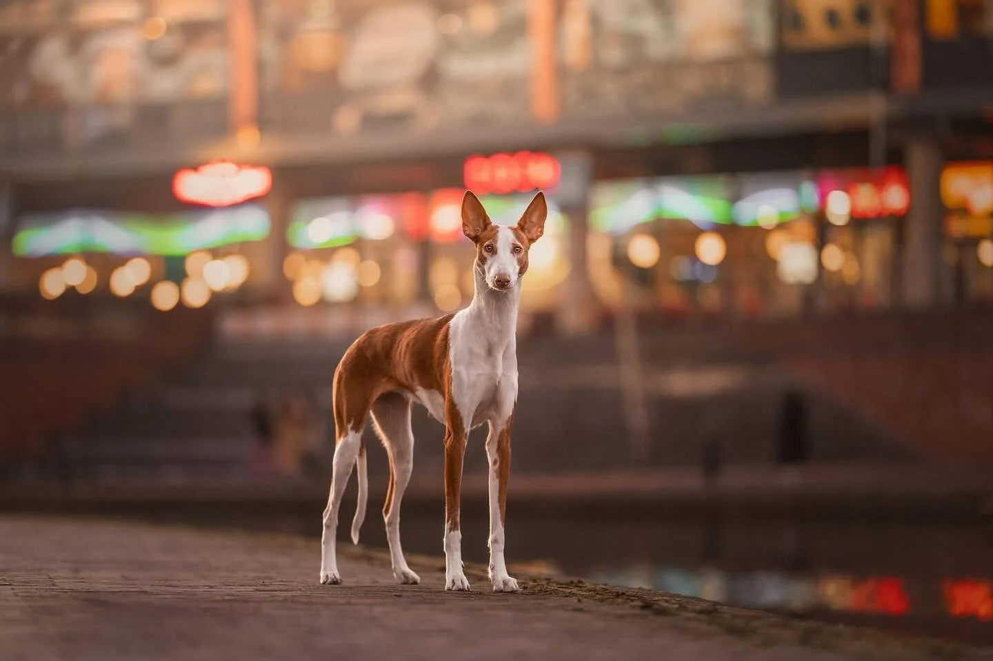 I can&rsquo;t believe I never posted this photo from Eden&rsquo;s session in Birmingham! Bokeh and bright lights are usually classed as distractions but I really love the vibe of this image, even if it&rsquo;s not something I&rsquo;d usually go for.
