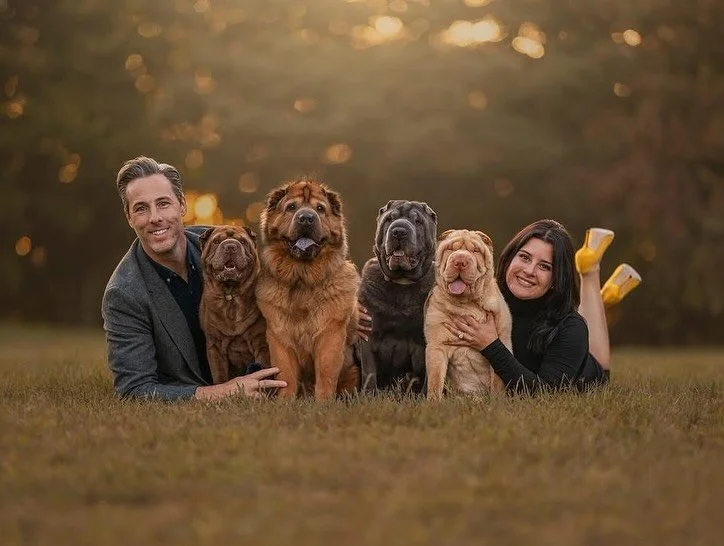 3 years ago, @crazy4pei commented on my Facebook post saying she wished I could photograph their family but they were in the US. 3 years later and I&rsquo;ve photographed them 4 times! This is your sign to make things happen if you want them badly en