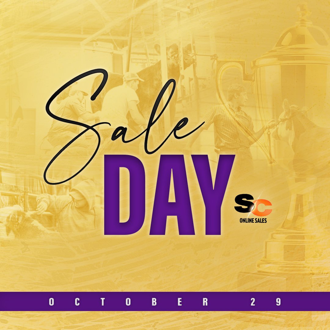saledaygraphic2_cc.jpg