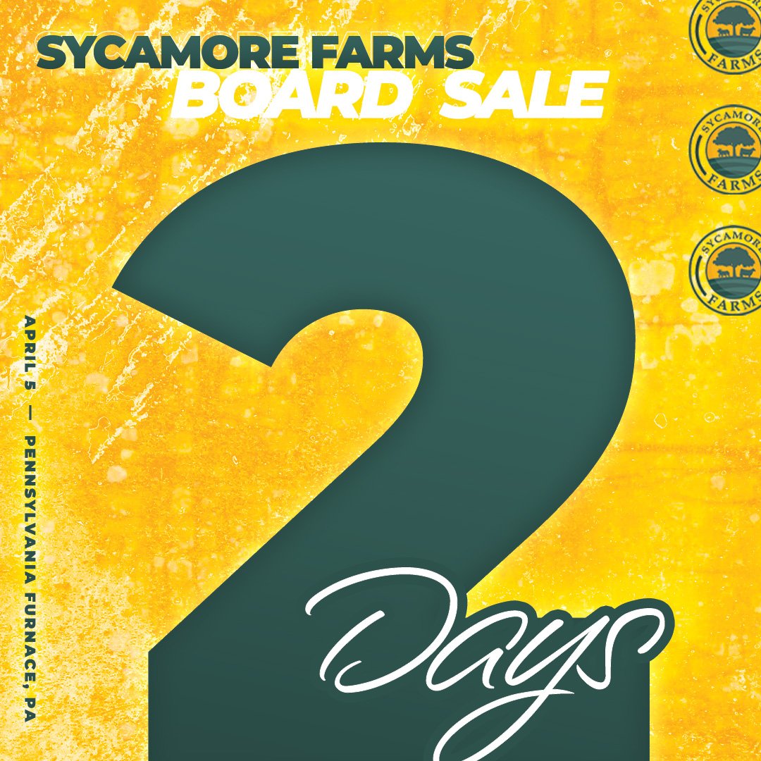 artboard 1final2.jpg