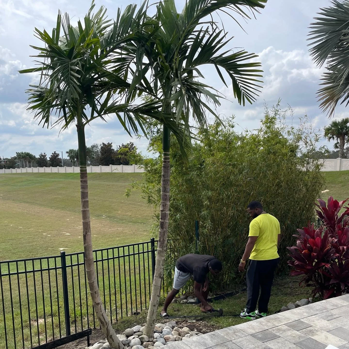 Before and after of this tree installation 🌳💪🏾
&bull;
&bull;
&bull;
#grass #fyp #landscape #lawn #lawncarelegends #viral