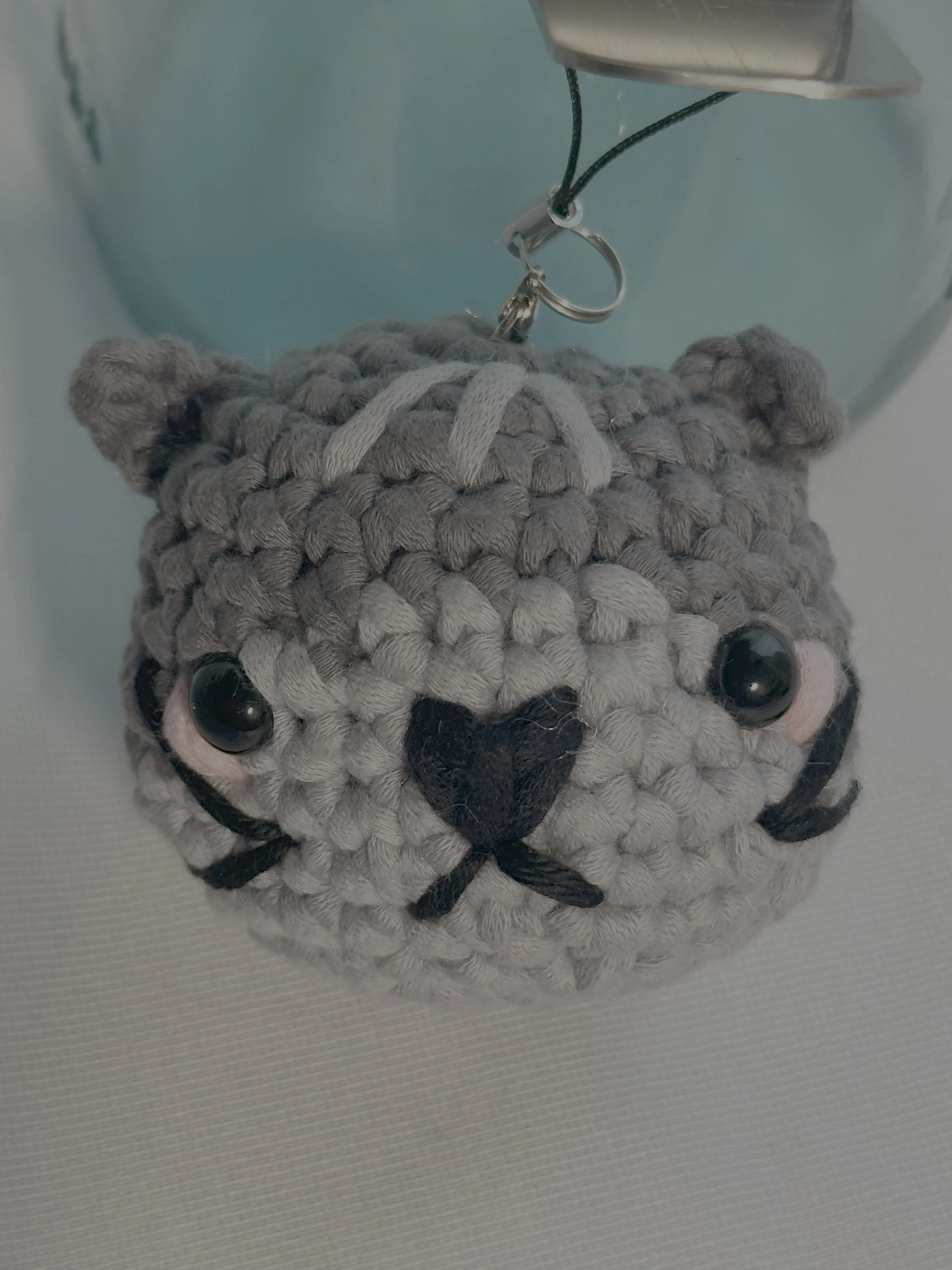 Cat Head 03.jpg