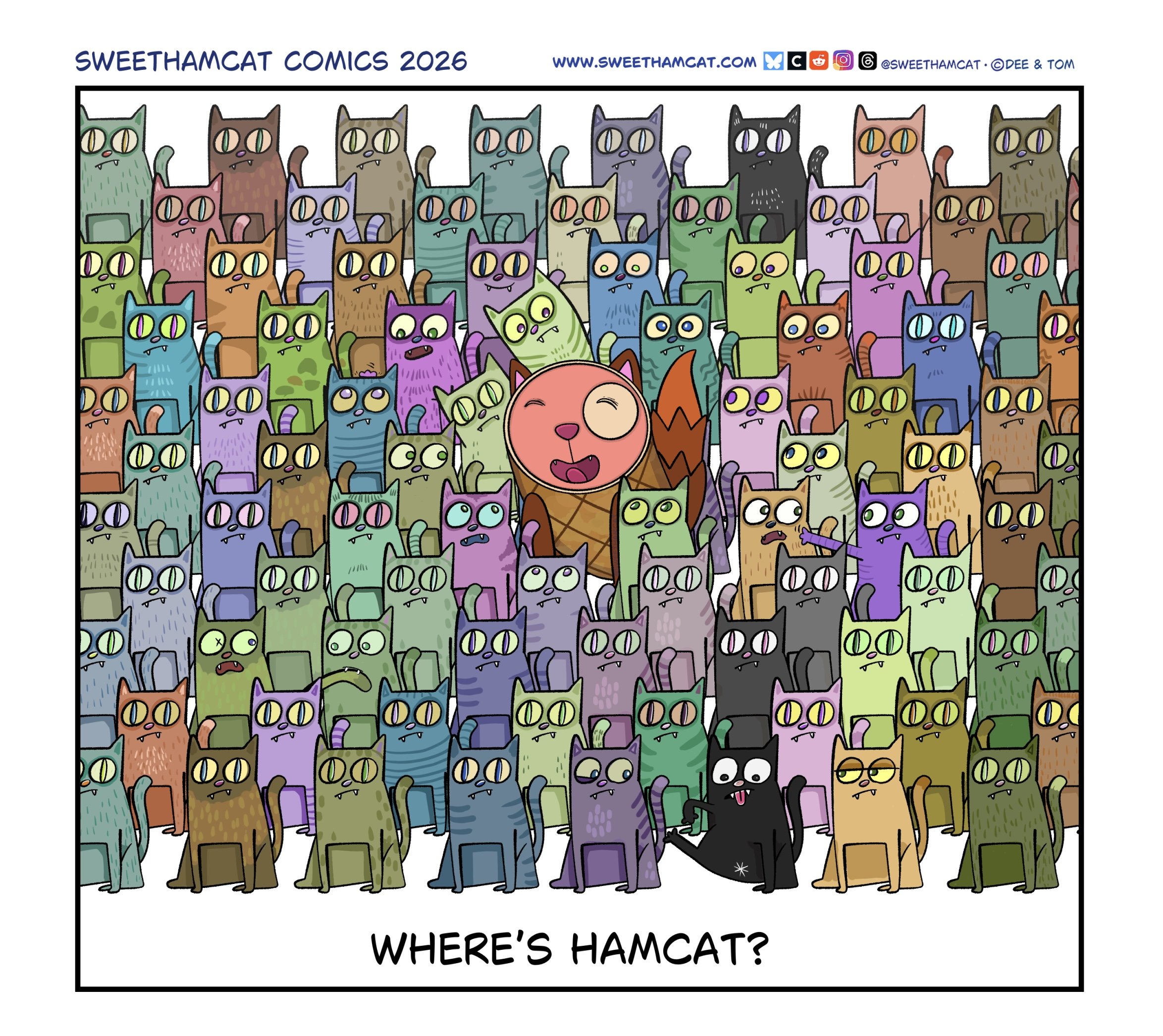 Hmm...Where is HamCat? - 06/02/26