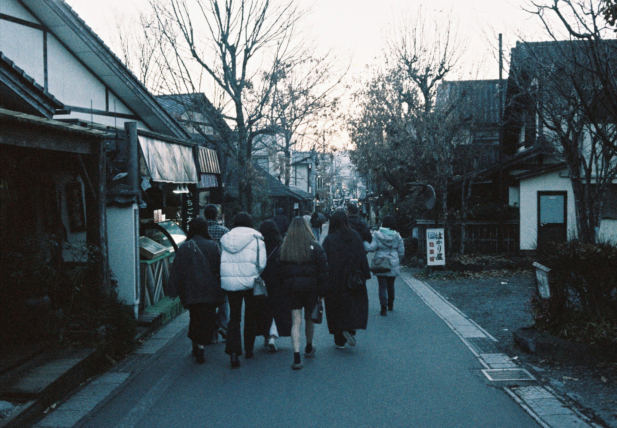Japan_04_Showa 200_20.JPG