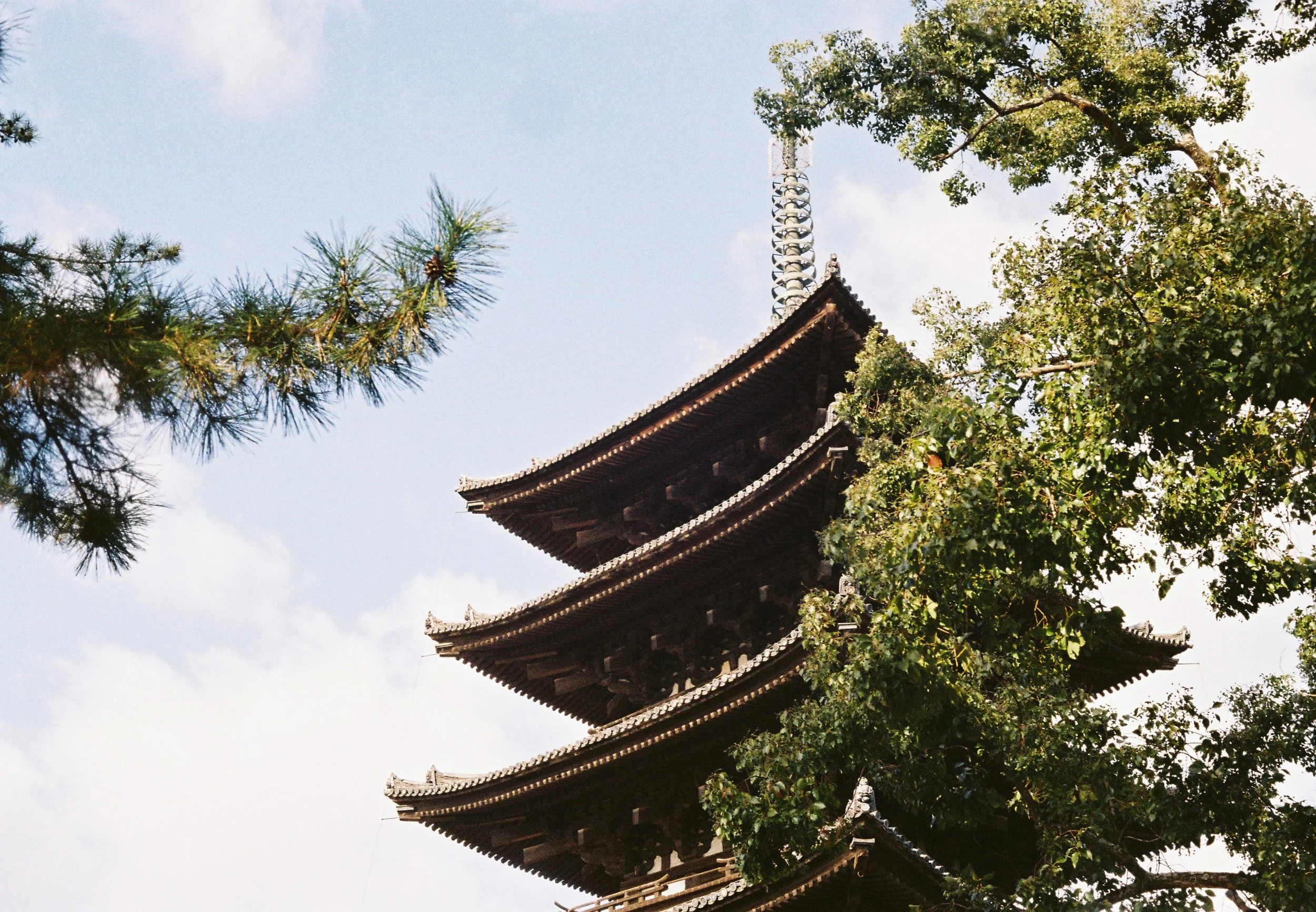 Japan_02_Kodak Gold 200_21.JPG