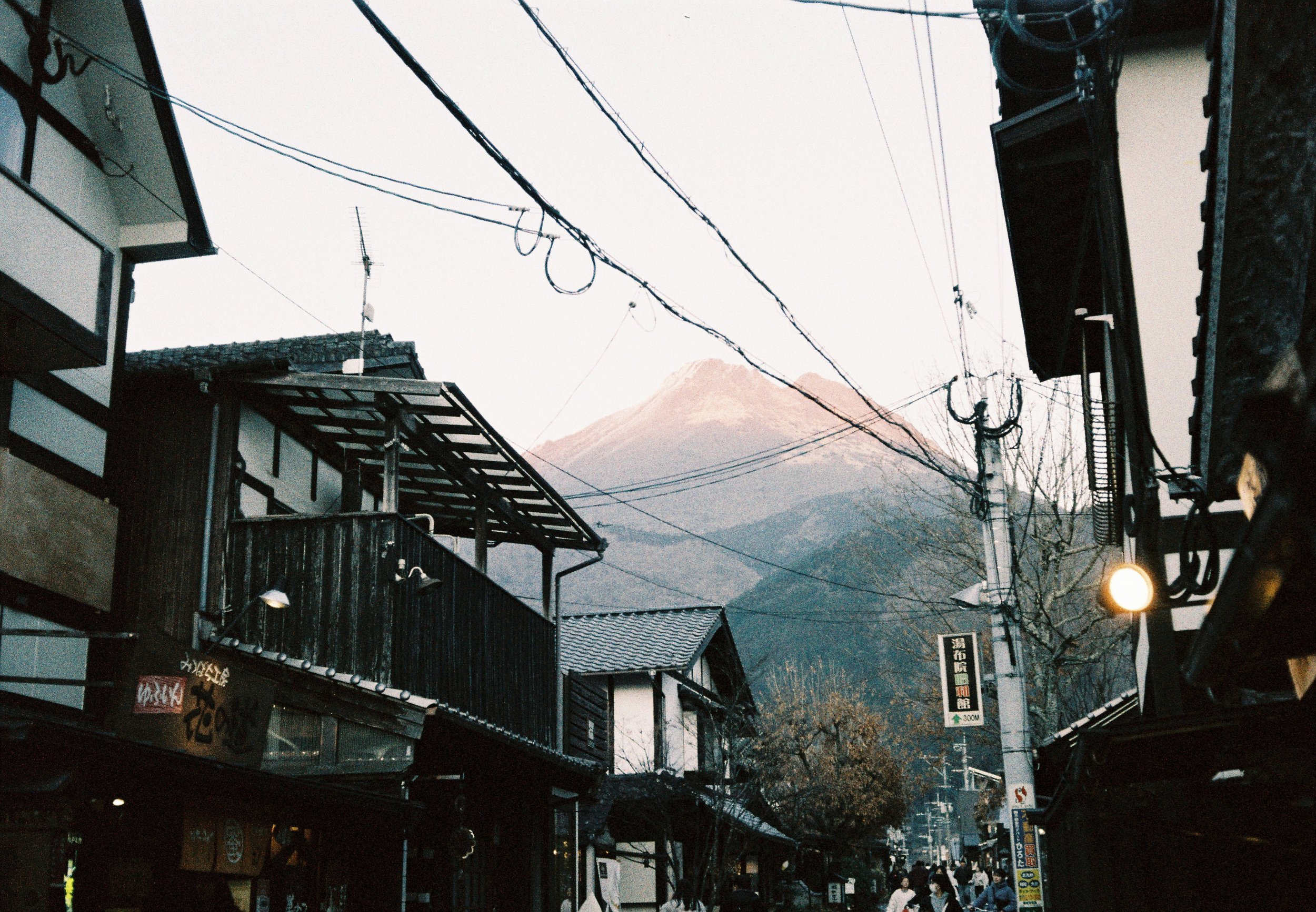 Japan_04_Showa 200_21.JPG