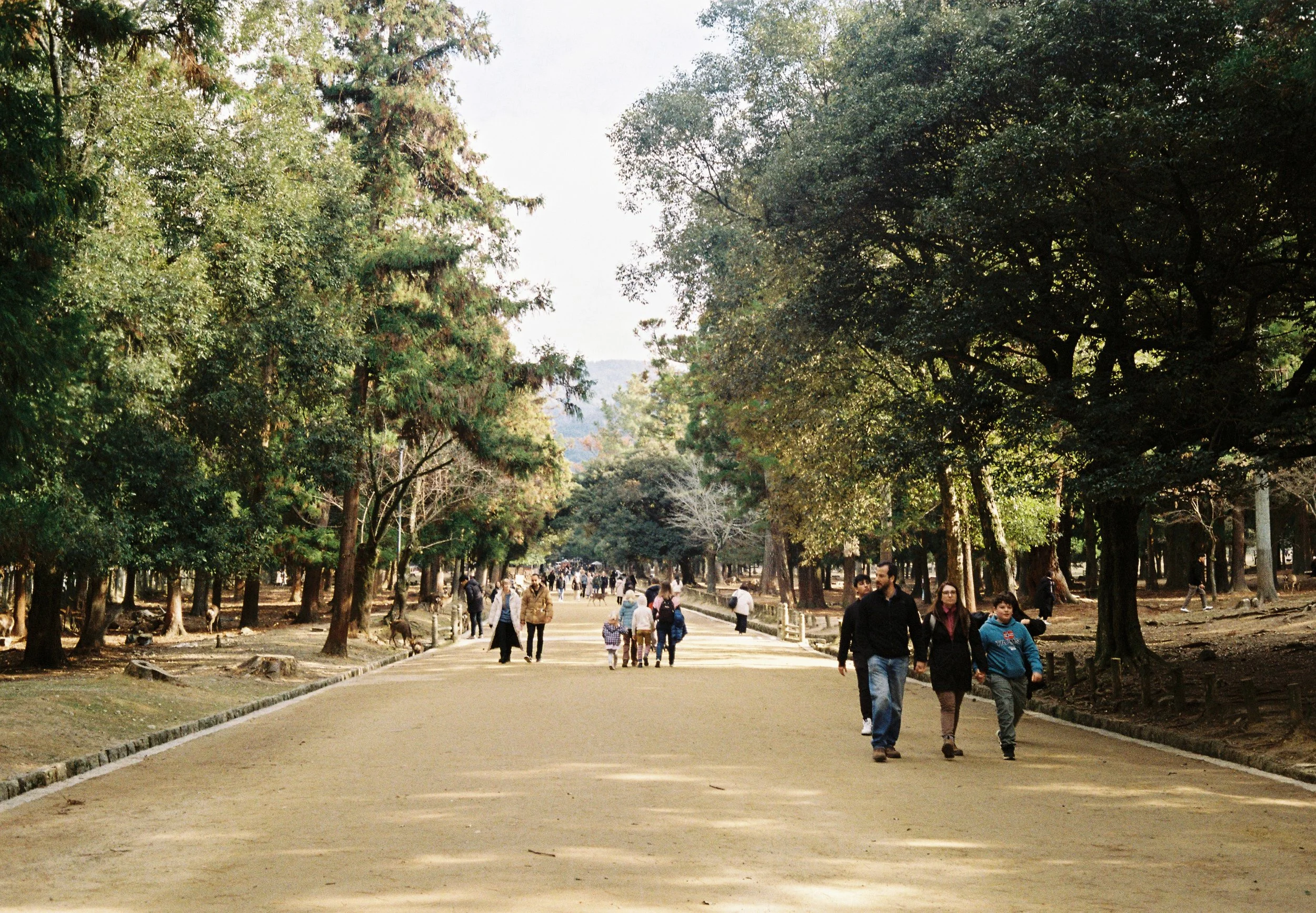 Japan_02_Kodak Gold 200_26.JPG