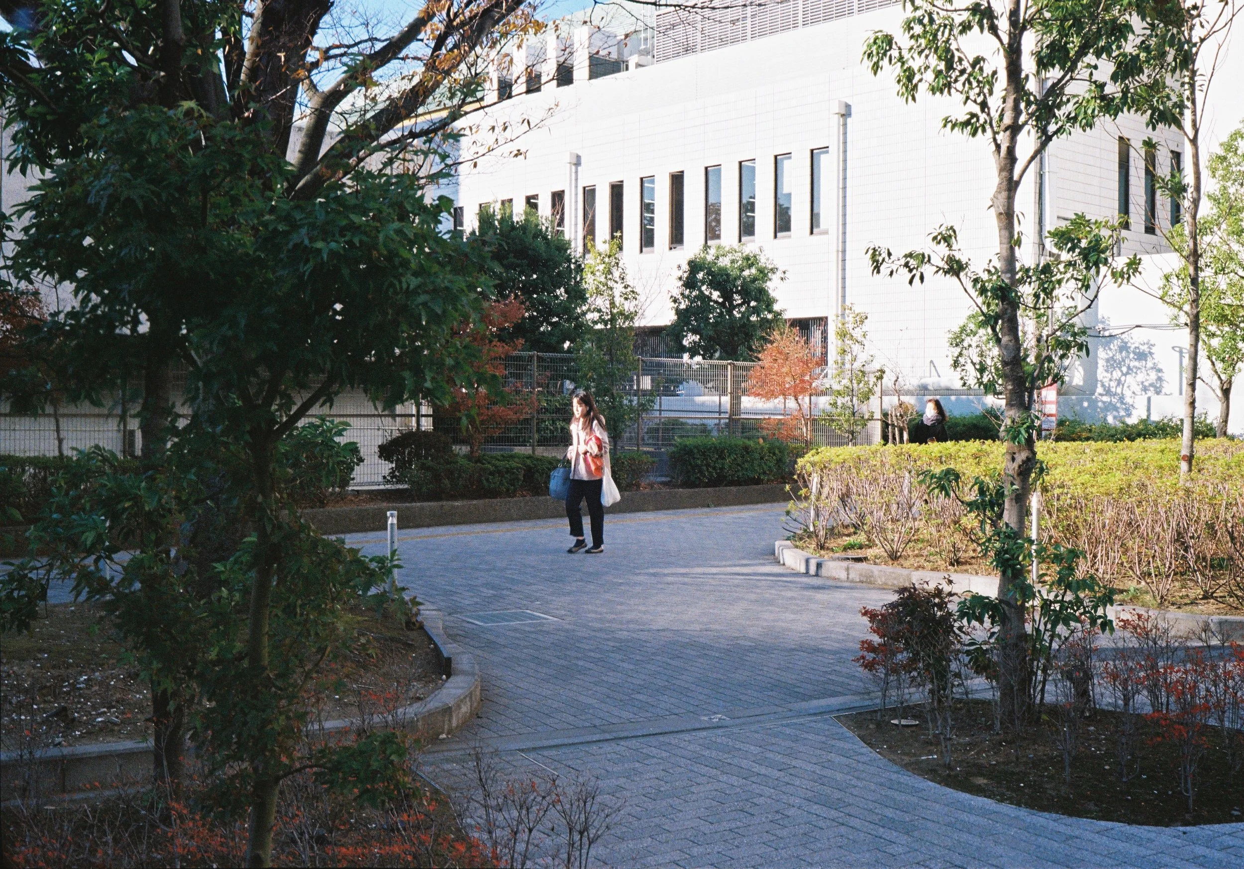 Japan_01_Kodak Ultra Max 400_67.JPG