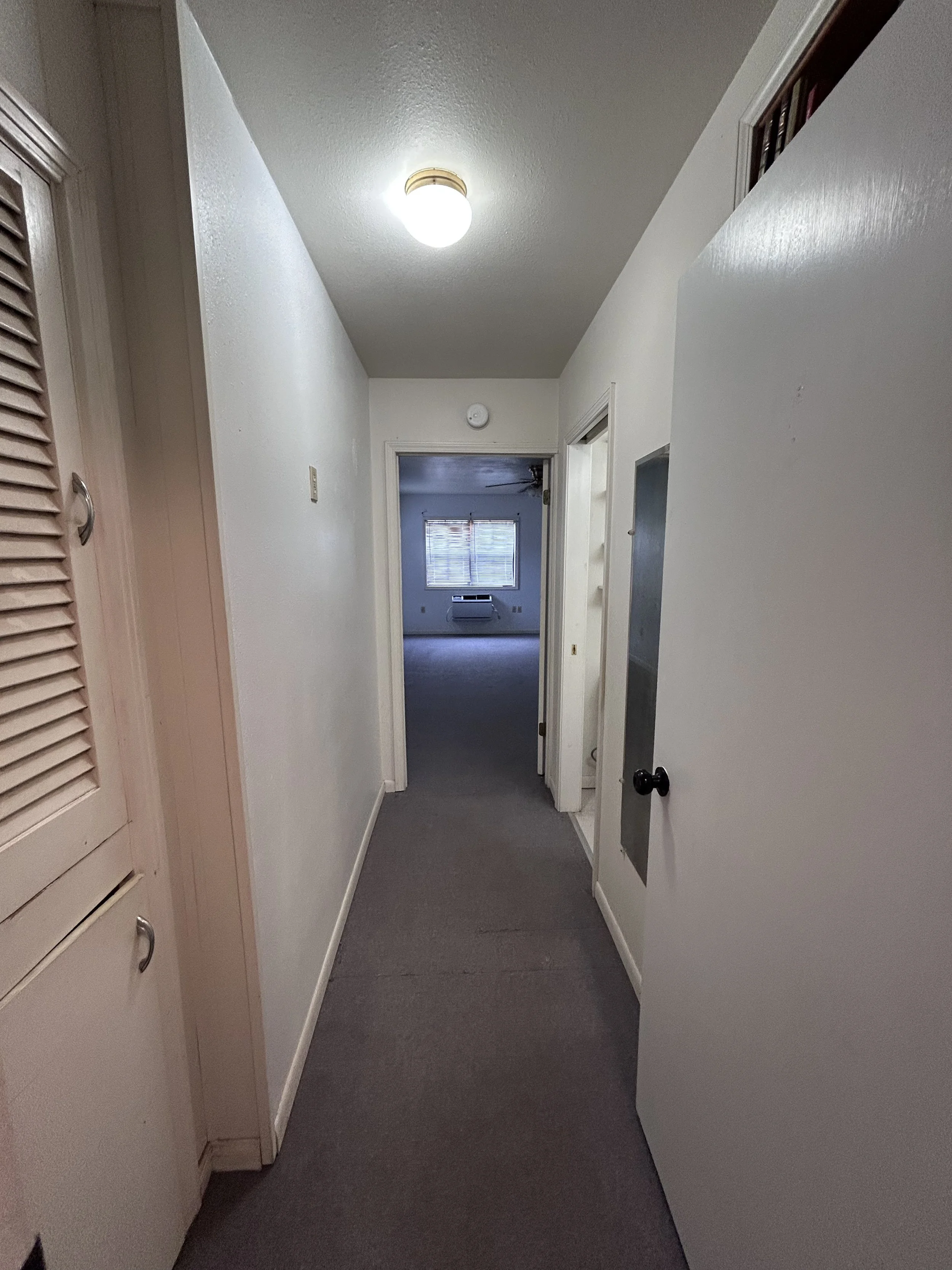 2026-03-06 16.01.49.jpg