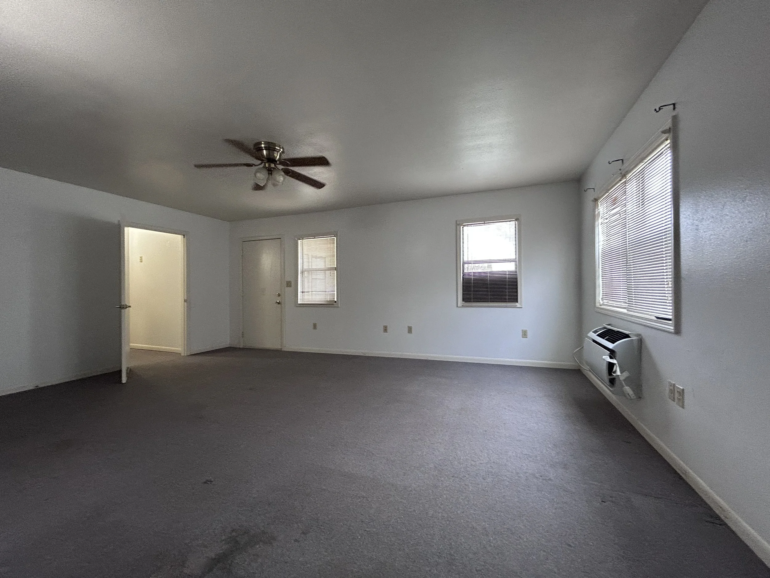 2026-03-06 16.02.29.jpg