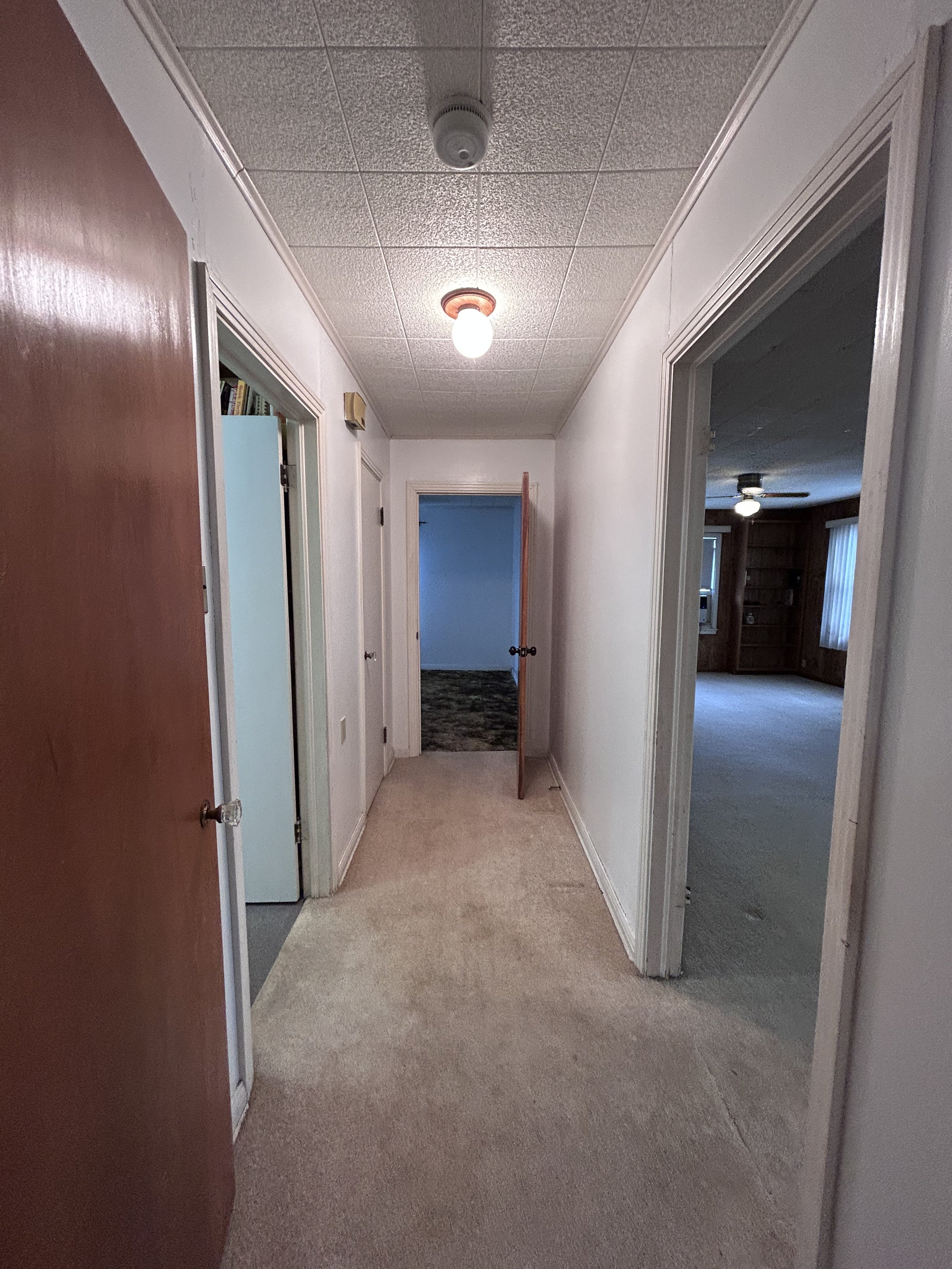 2026-03-06 16.00.38.jpg