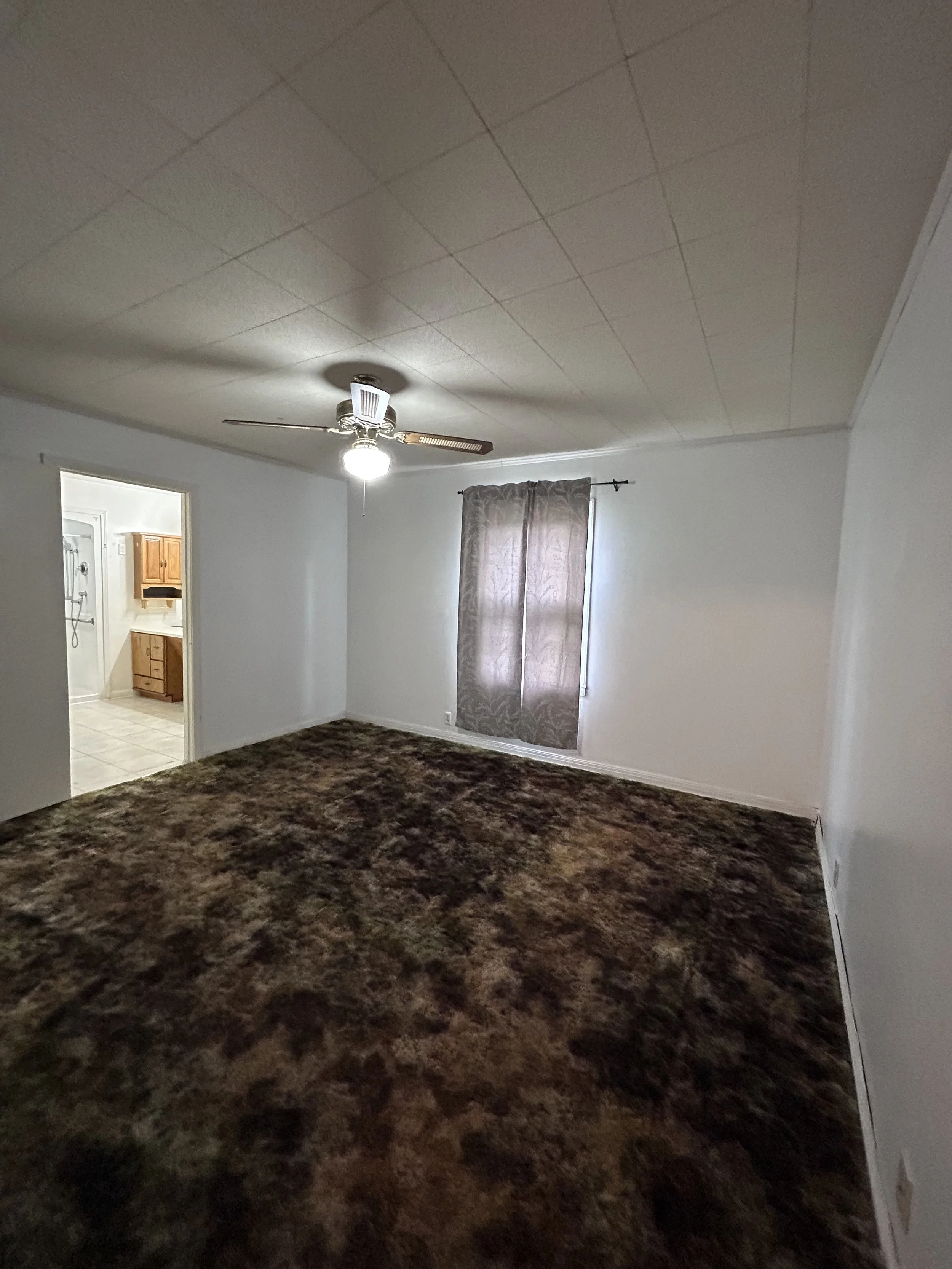 2026-03-06 16.00.47.jpg