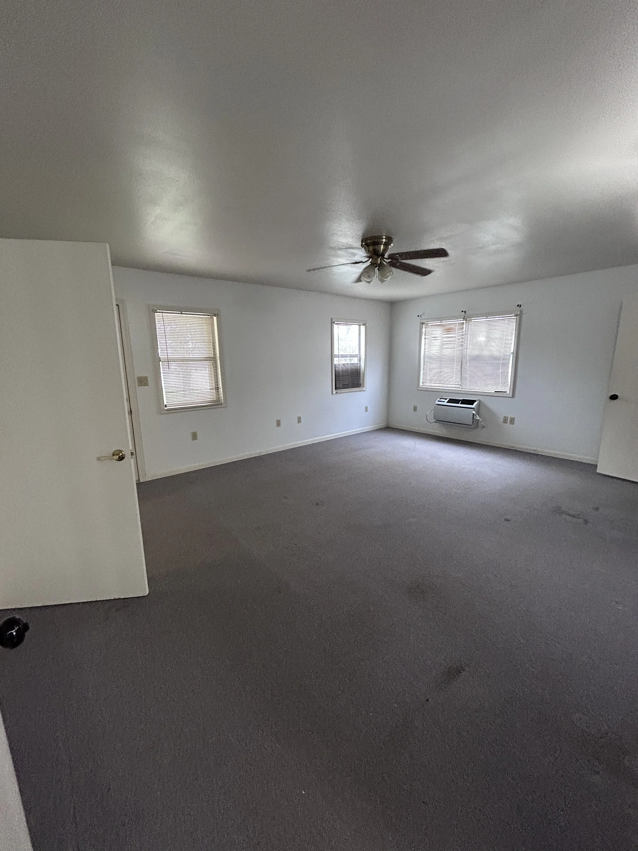 2026-03-06 16.01.30.jpg