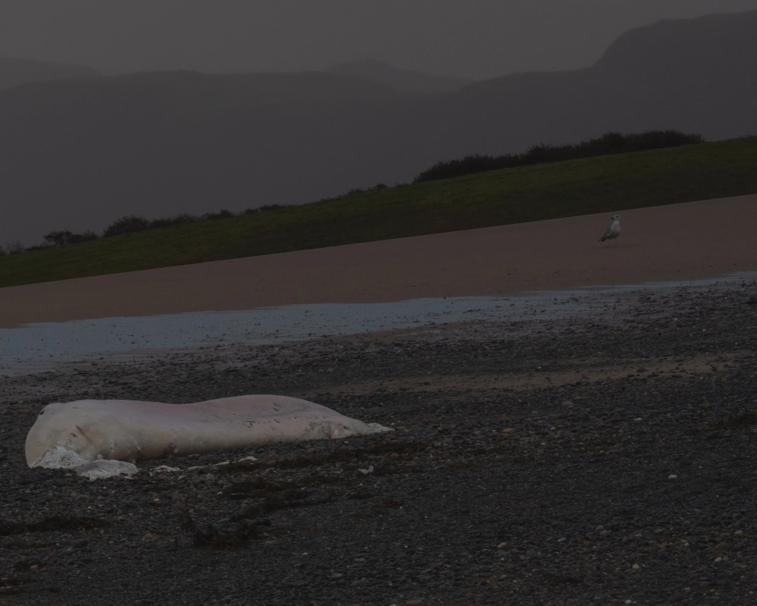 sea alien mountain copy2.jpg