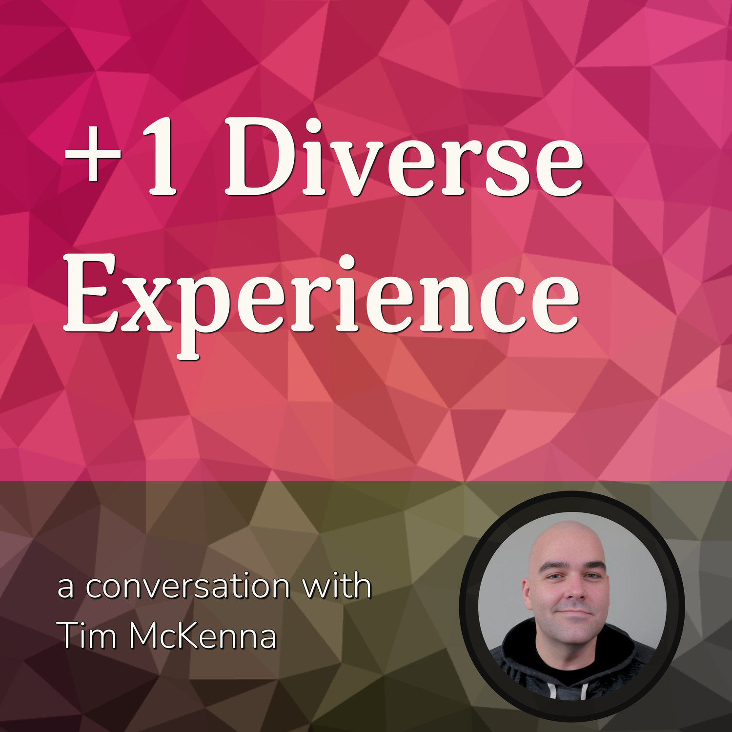 +1 Diverse Experience episode artwork