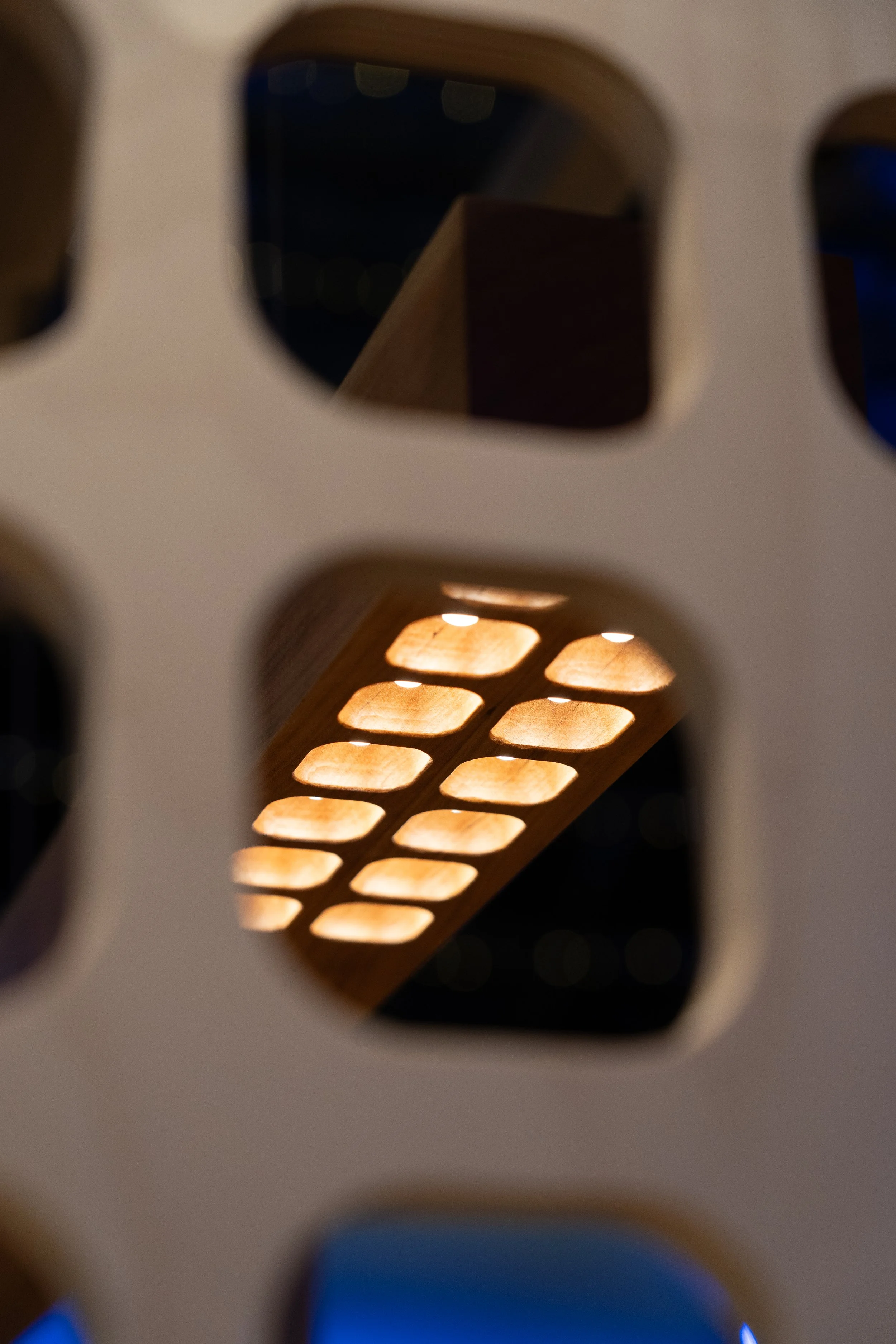focus double detail through cells (3).jpg