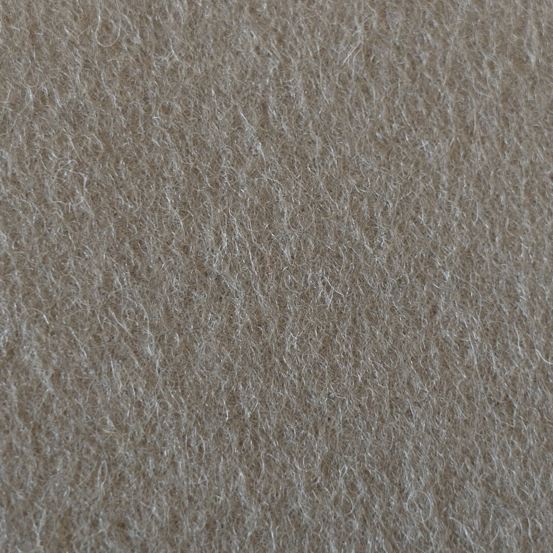 NEW | F186 | Overcast