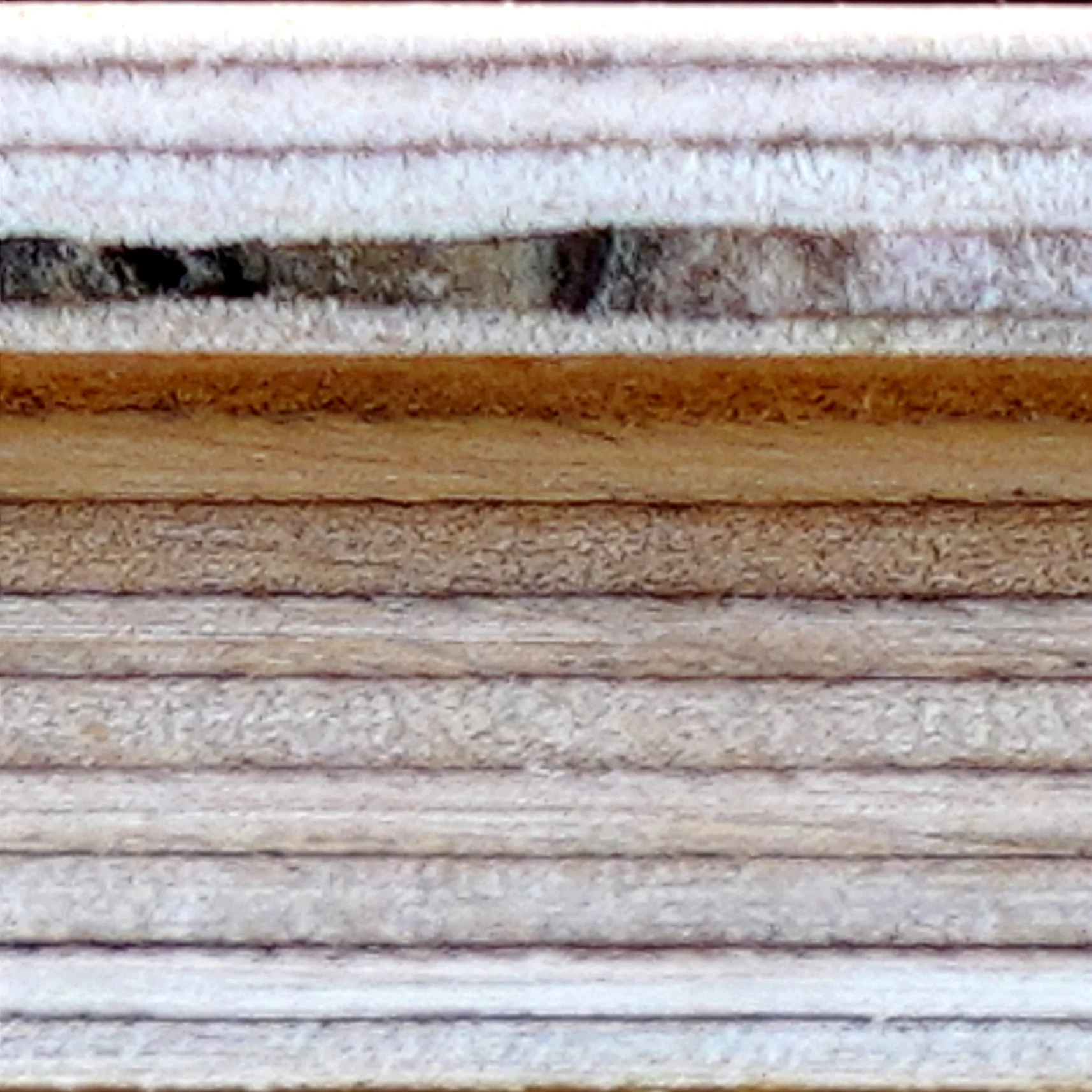 EGW | Edge Condition