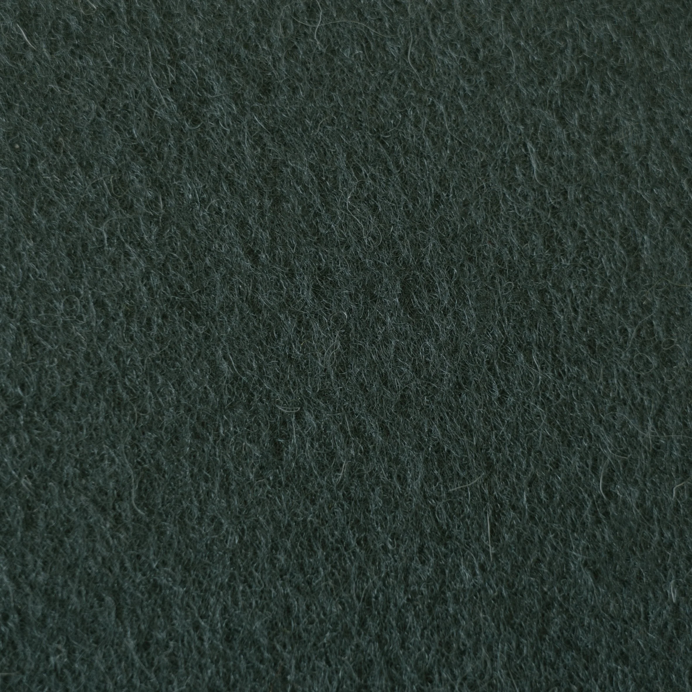 NEW | F158 | Peacock