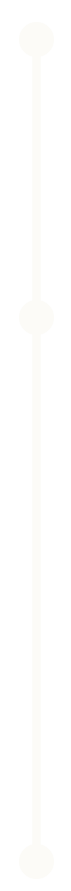 A vertical timeline with three circular points connected by a line
