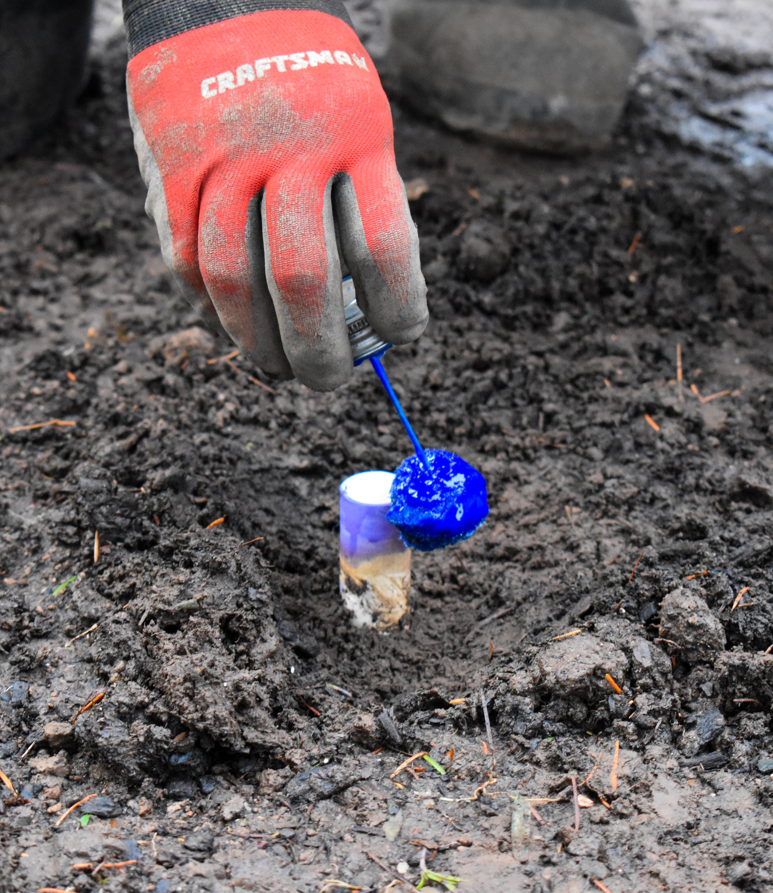 Irrigation & Backflow Gallery — Prestige Landscape & Tree Services