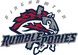 NumbPony logo with a stylized pony head in front of a baseball with red and blue flames.