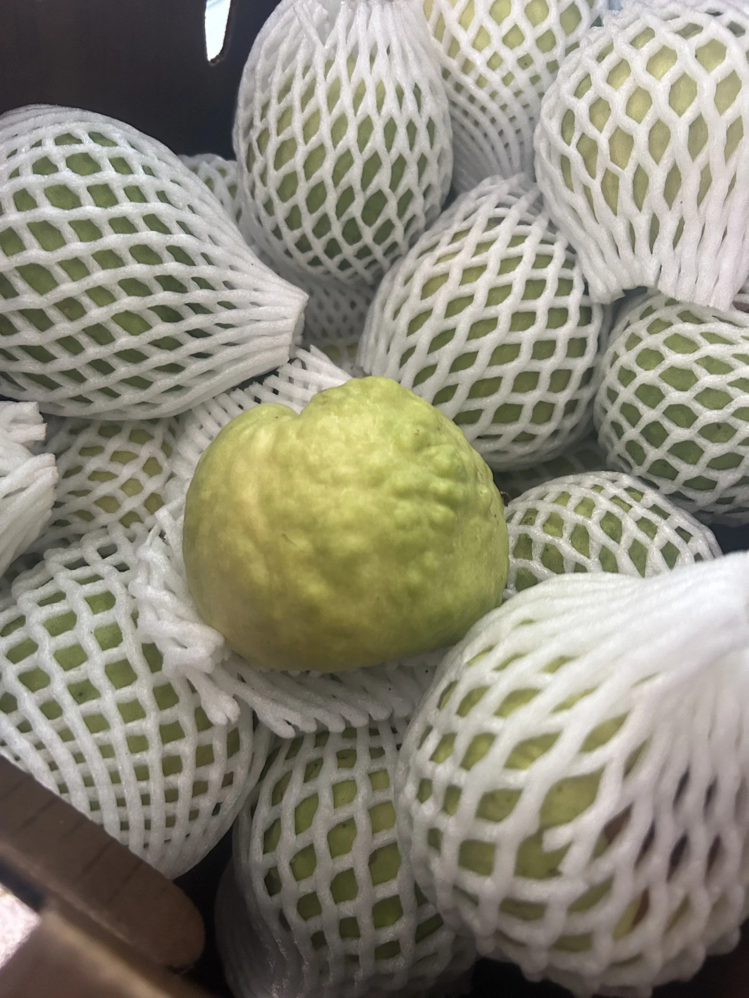 Thai Guava (5lbs White Grade B) — MD Fruits, image size:1500x2000