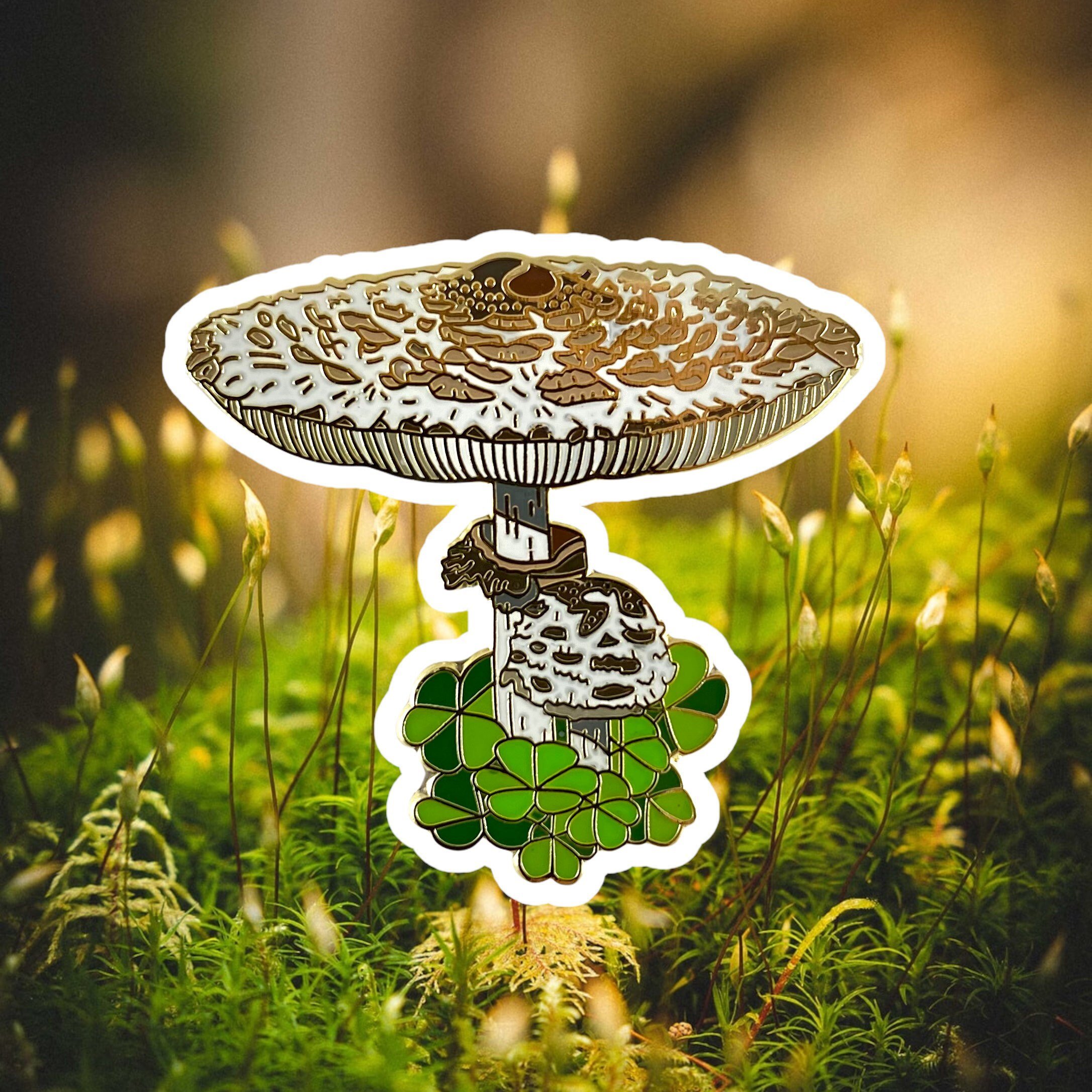 https://i.etsystatic.com/5273699/r/il/bd07d4/3524857018/il_fullxfull.3524857018_hdc7.jpg