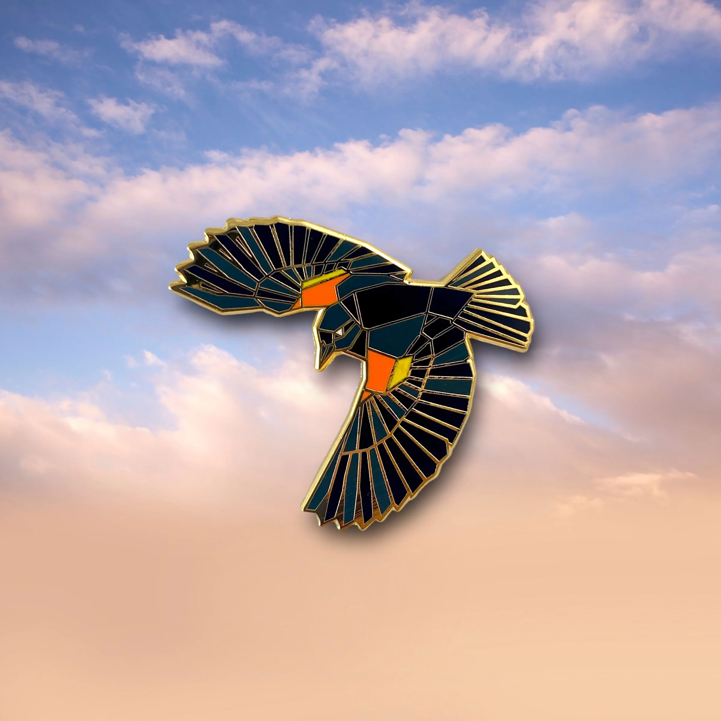 Red-winged Black Bird