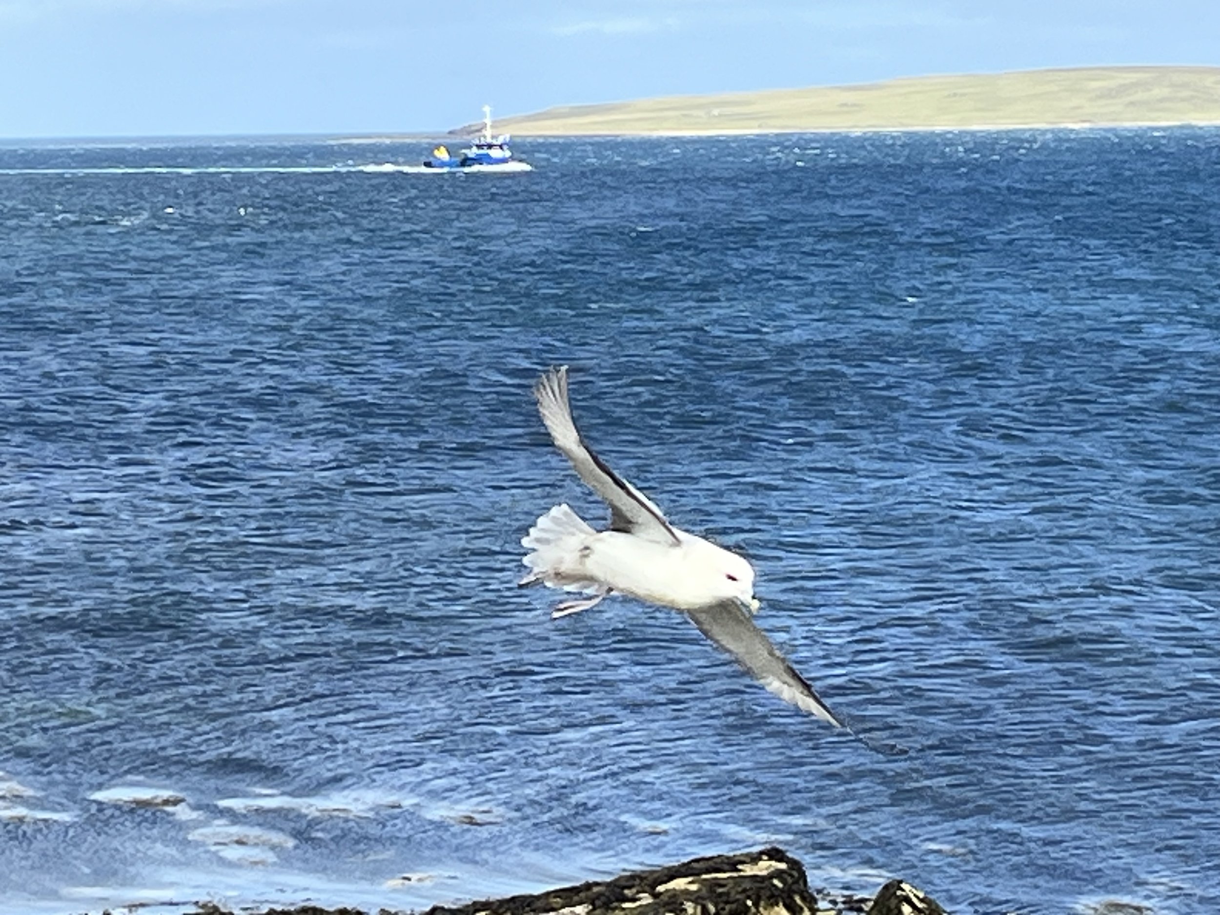 IMG_3077.jpeg