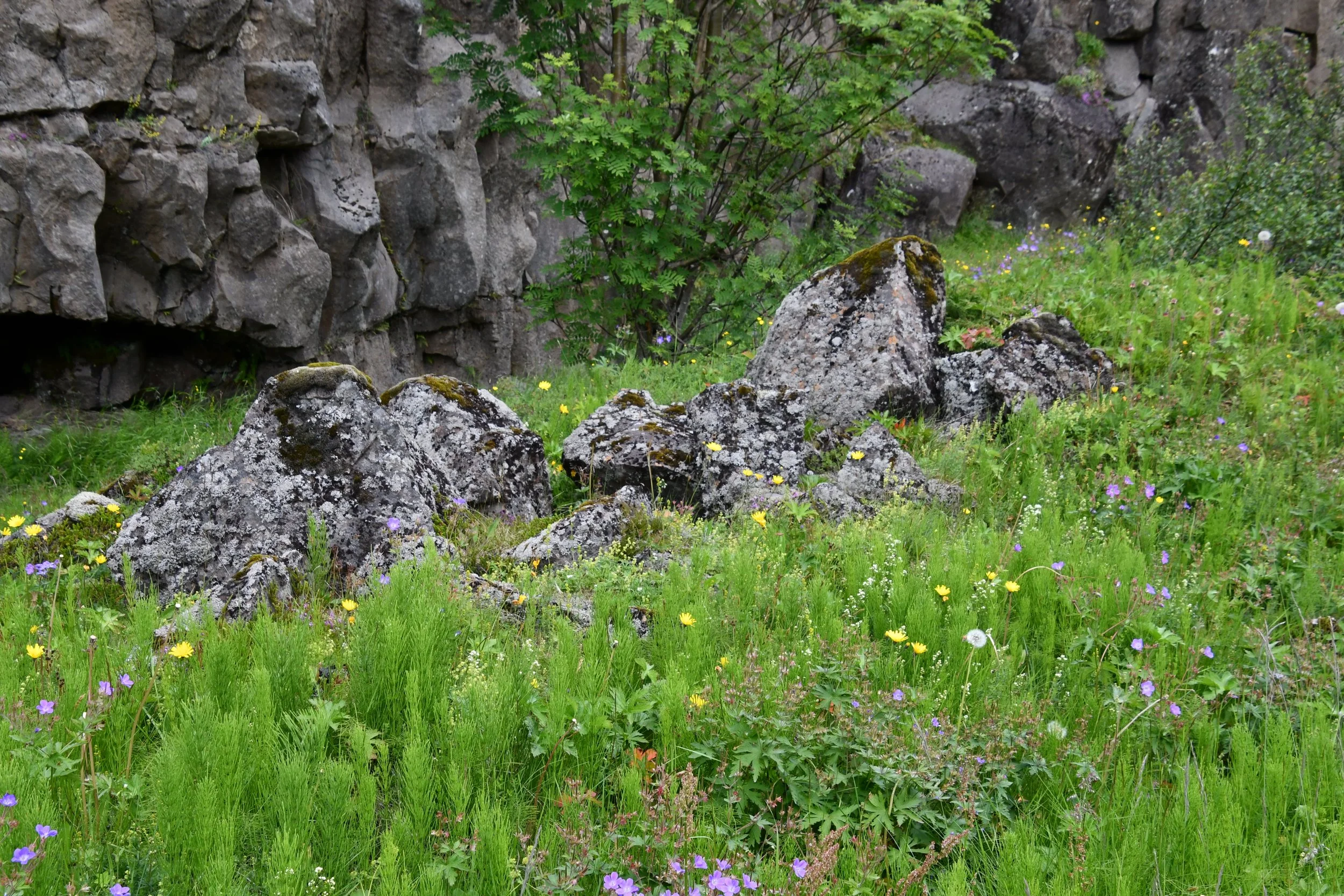DSC_5755.JPG