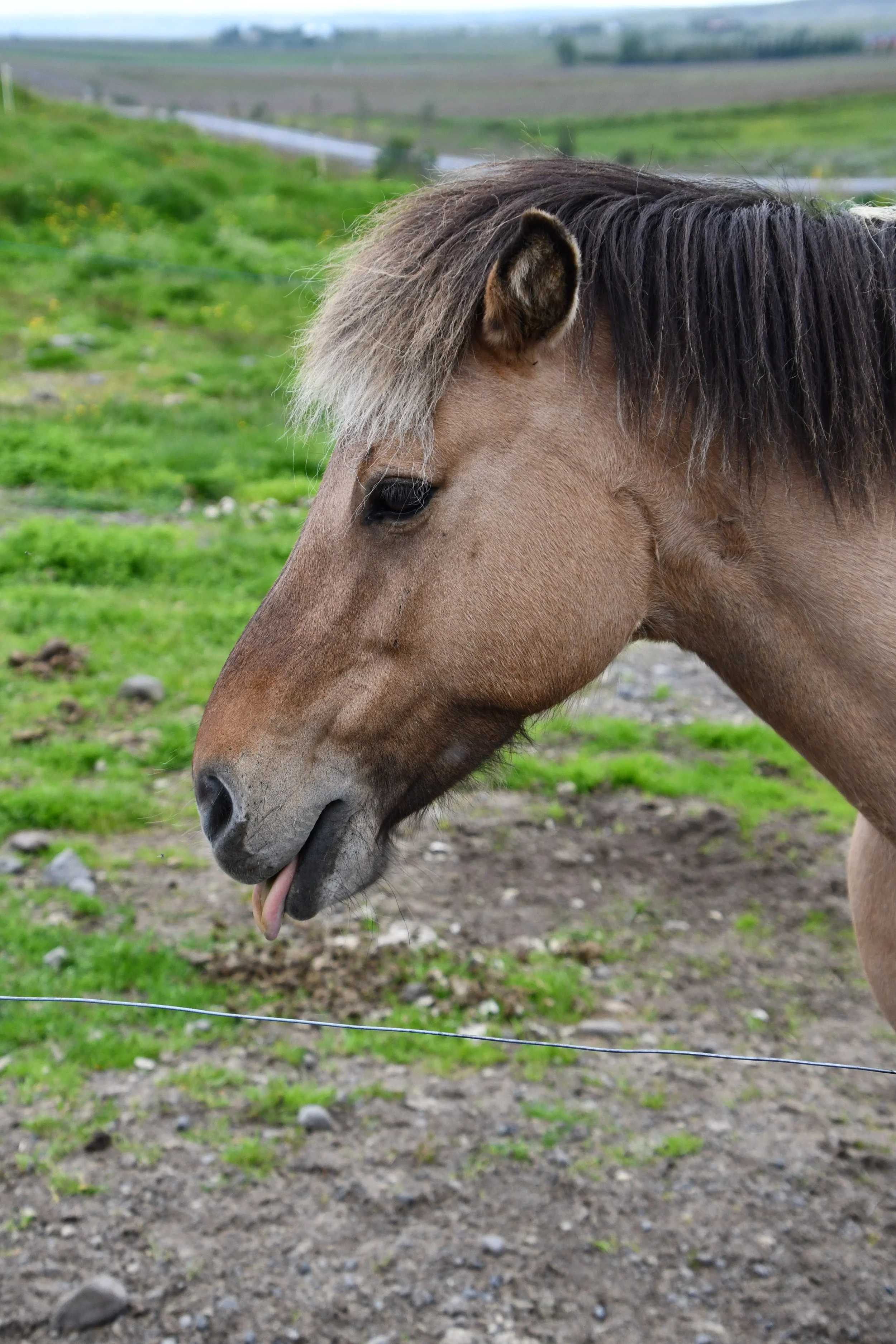 DSC_5650.JPG