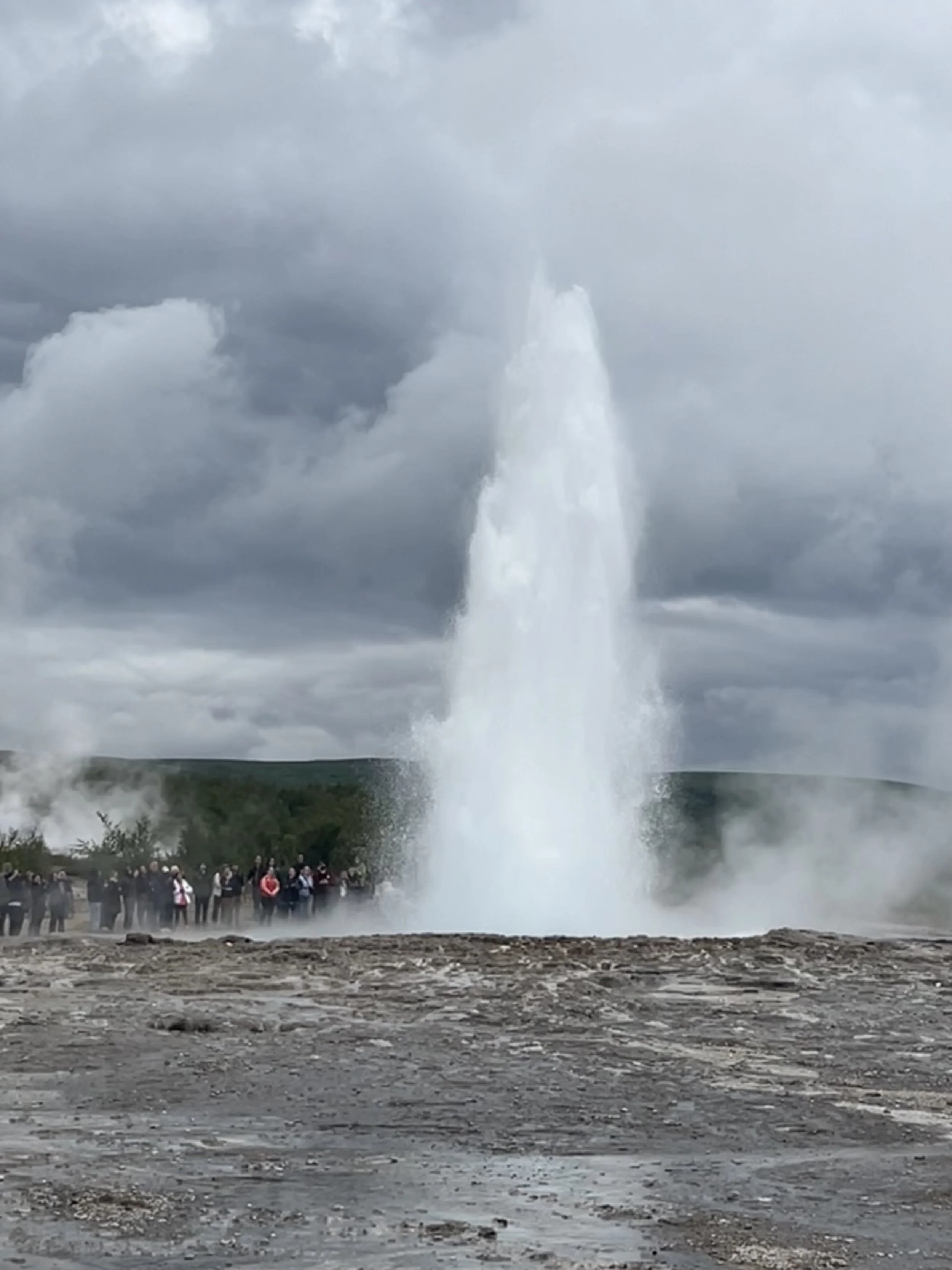 FullSizeRender (1).jpeg