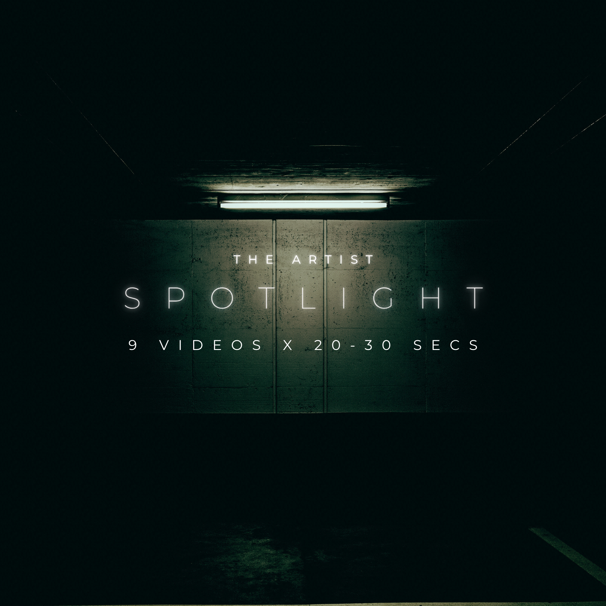The Artist Spotlight