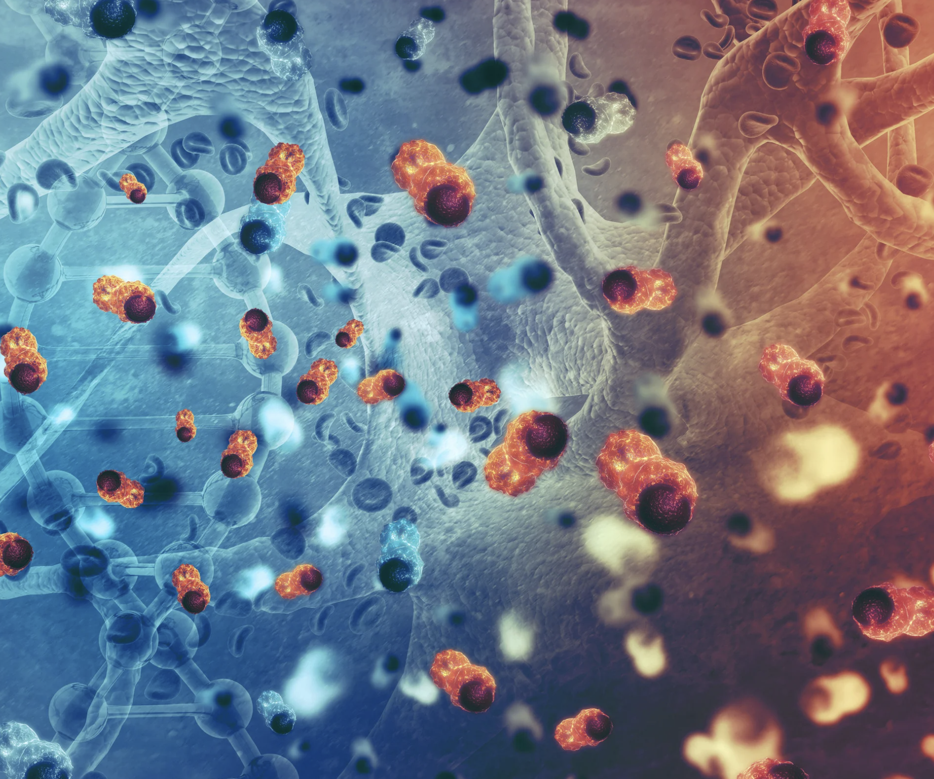Synergistic Effects of Photobiomodulation and Stem Cell Therapy: Clinical Applications and Outcomes for Medical Doctors