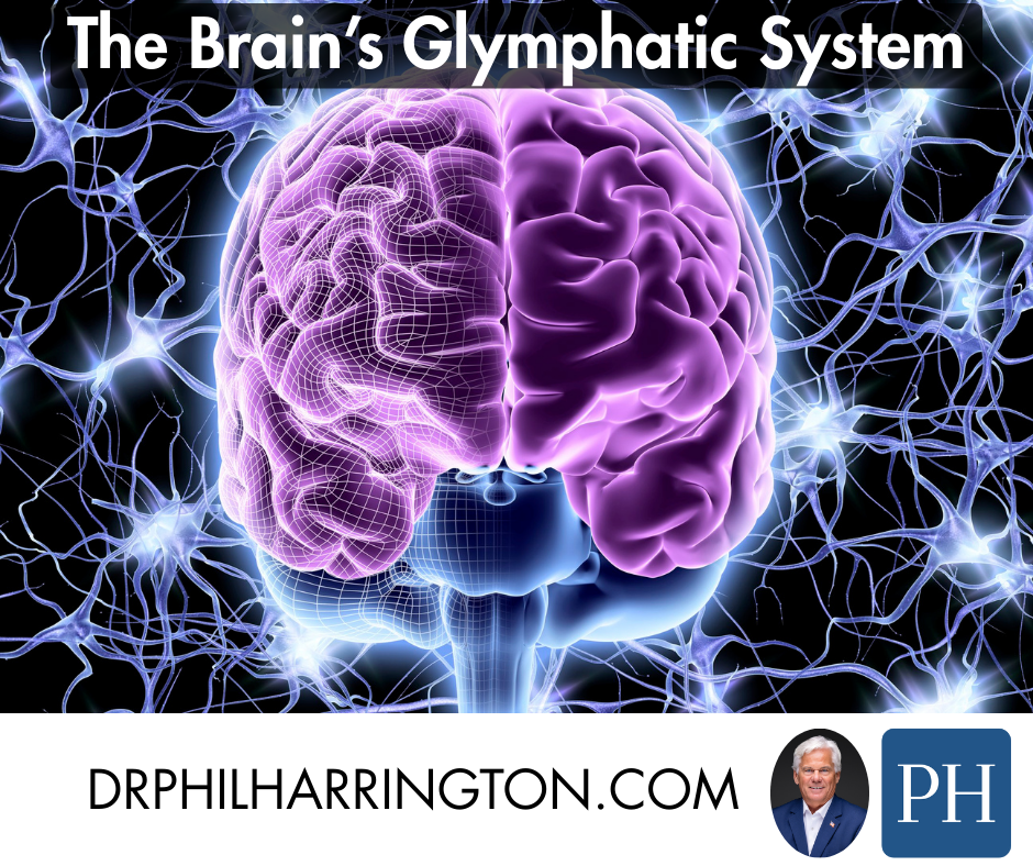 Fluid Transport in the Brain: How the Glymphatic System Protects Your Mind
