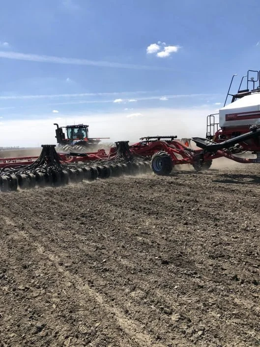 WB Strip Trial 2023 #2