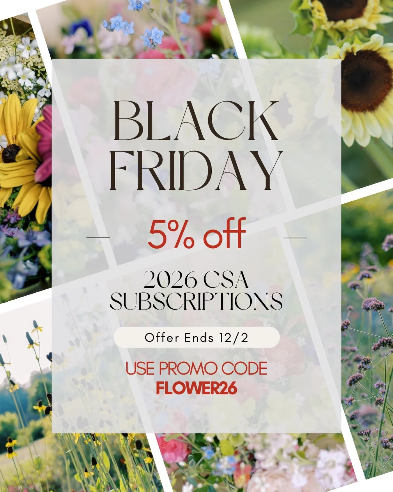 ✨ Black Friday Blooms are here! ✨
Give the gift of flowers this holiday season and support a small, family-run flower farm right here in the Shenandoah Valley. 🌼💛

Our 2026 CSA subscriptions are 5% off through 12/2 &mdash; the perfect way to keep l