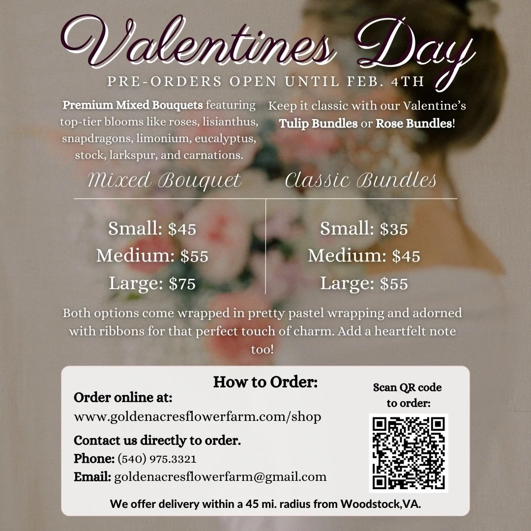 &hearts;️ Valentine&rsquo;s Day pre-orders are officially open &hearts;️

Choose from lush premium mixed bouquets or keep it classic with tulip or rose bundles&mdash;wrapped sweetly and ready to gift.

🌹 Valentine&rsquo;s bouquets available by pre-o