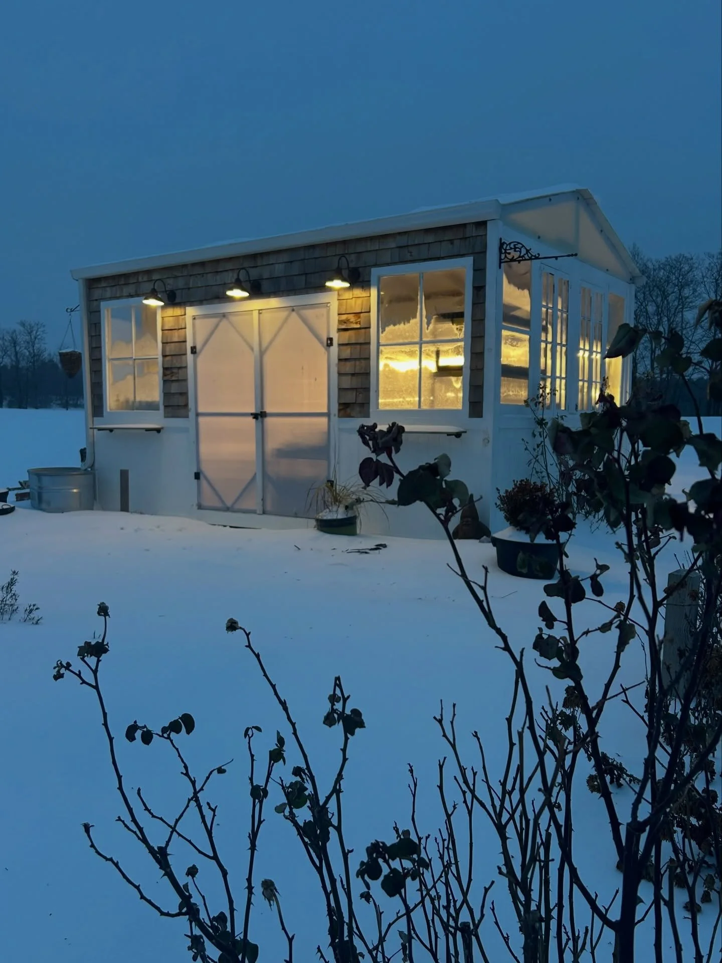 Happy snow day! ❄️ 🌱