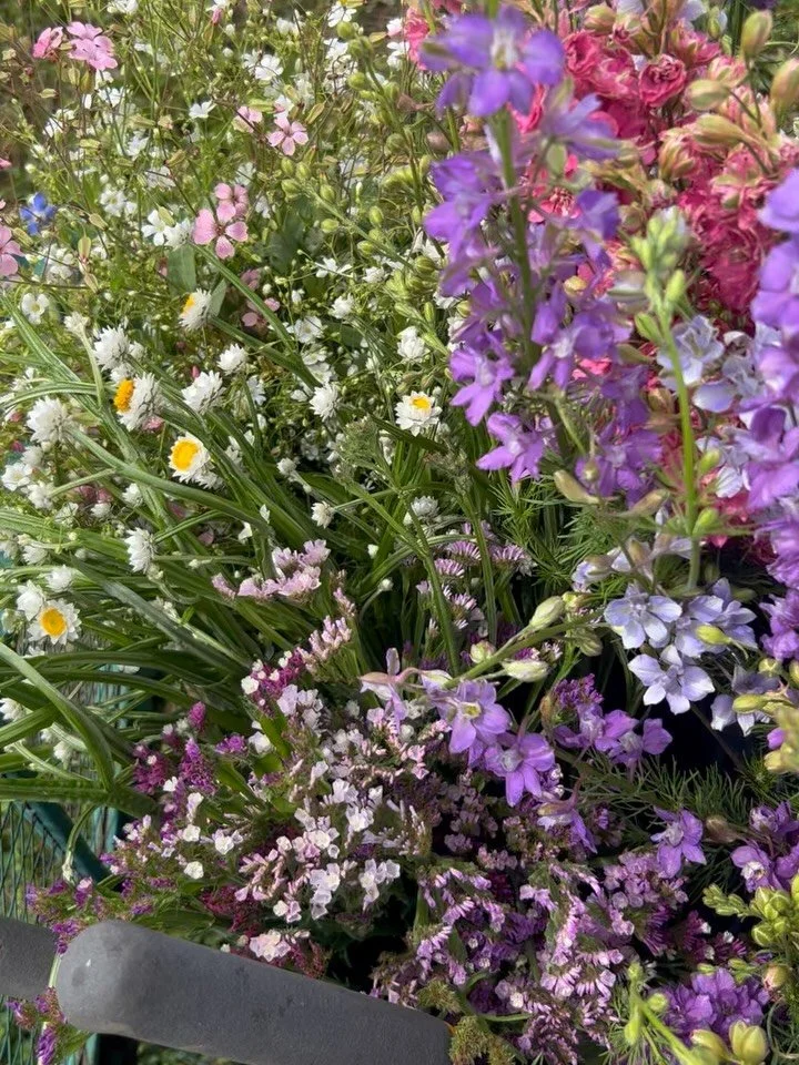 Fresh bouquets were stocked this morning at Flour to Fork, Four Star Printing, and the GA Farm Stand! 🌸💐

Grab a bundle for yourself or someone special and show a little love to your local businesses. 🫶🏻

No bouquets at Foltz this week&mdash;they