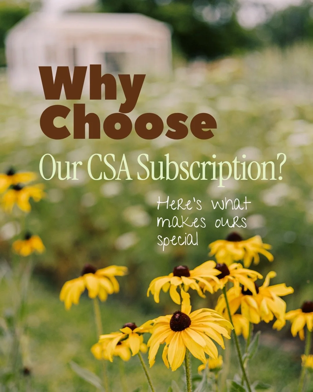 Your future self called. She wants more flowers. 💐

But first, what&rsquo;s a CSA? CSA stands for Community Supported Agriculture. You purchase a subscription upfront and, in return, enjoy a season of fresh, locally grown flowers delivered to your w