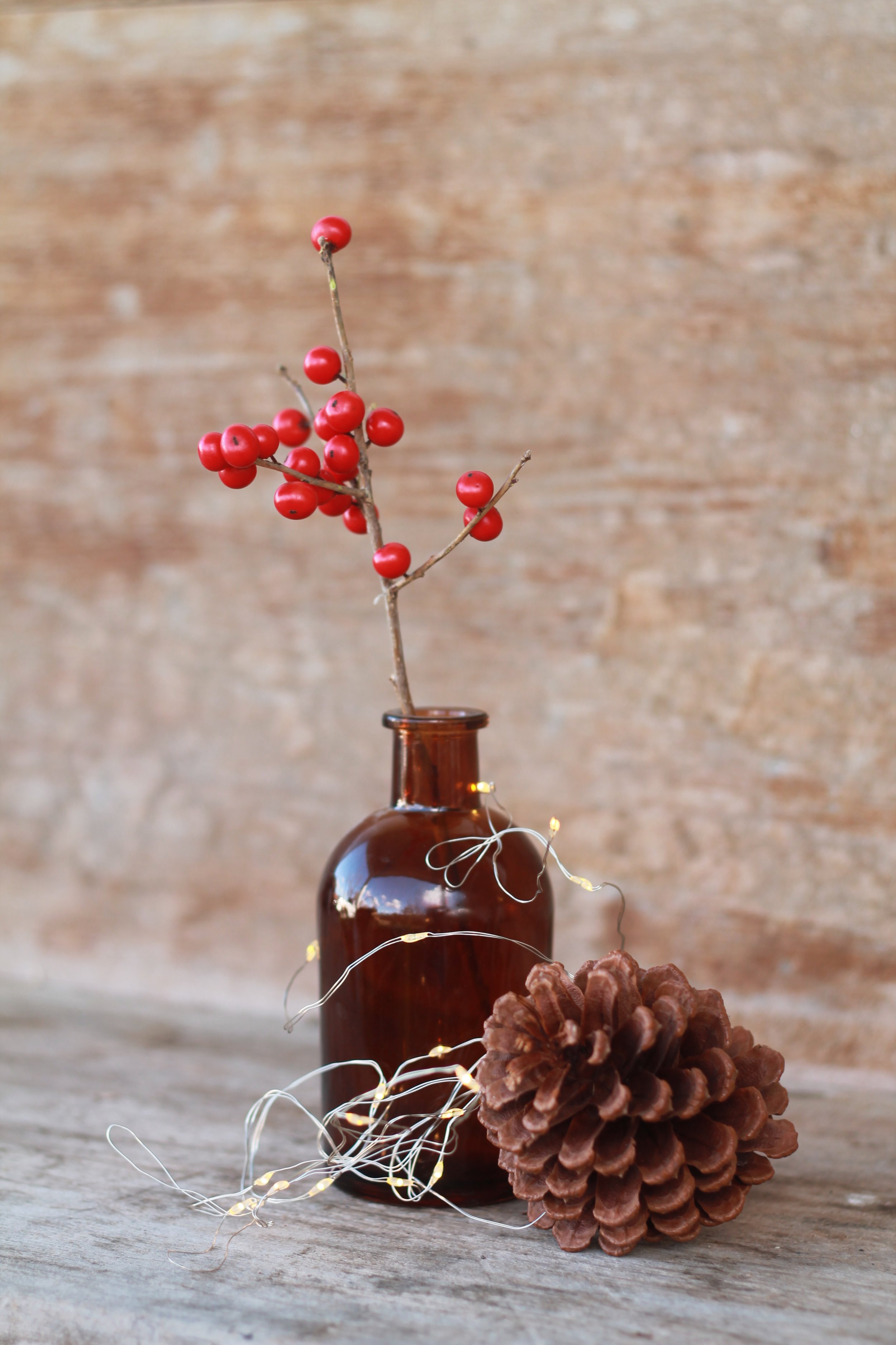 Berries & Pine Cones