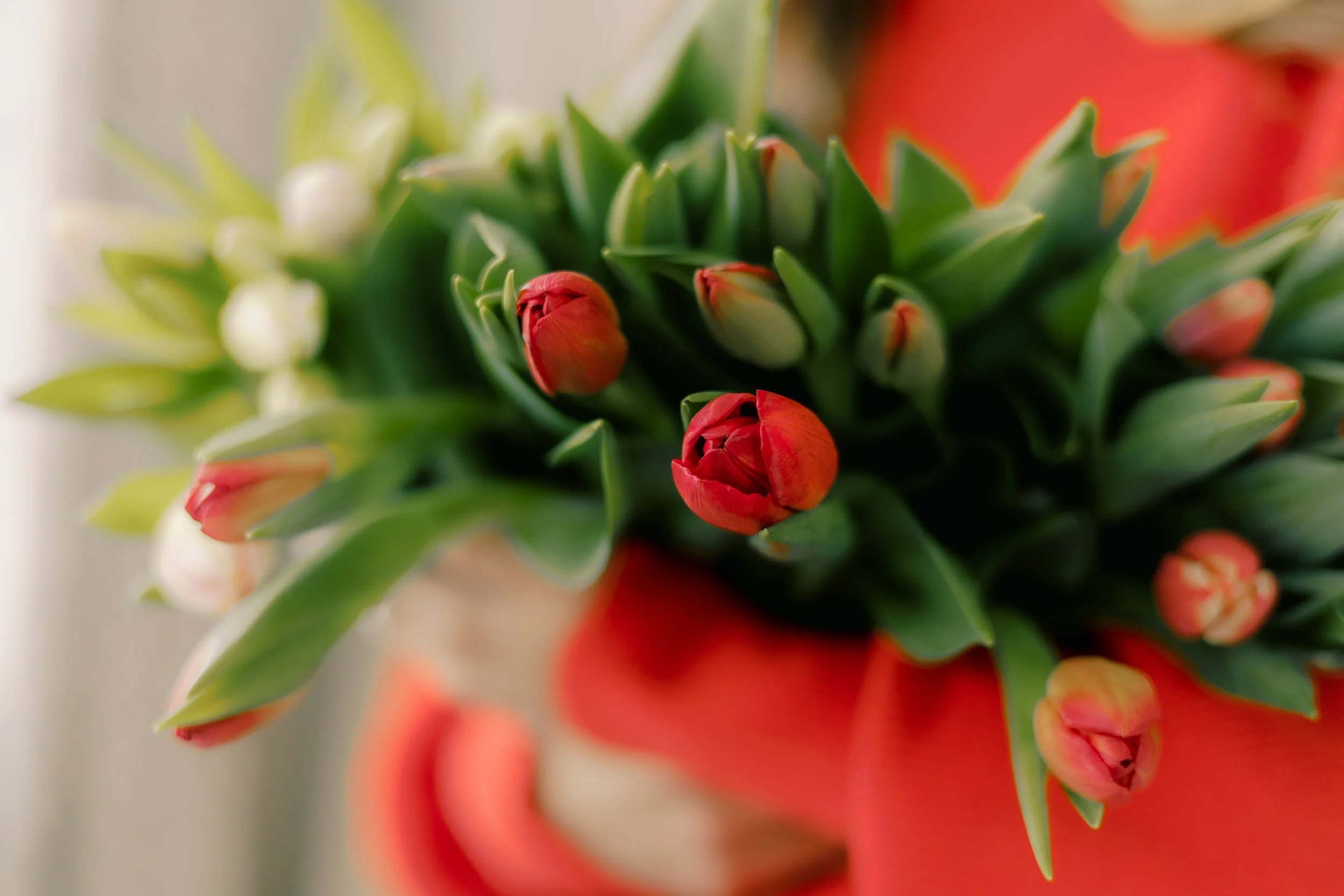 LCP_GoldenAcresValFlorals-66.jpg