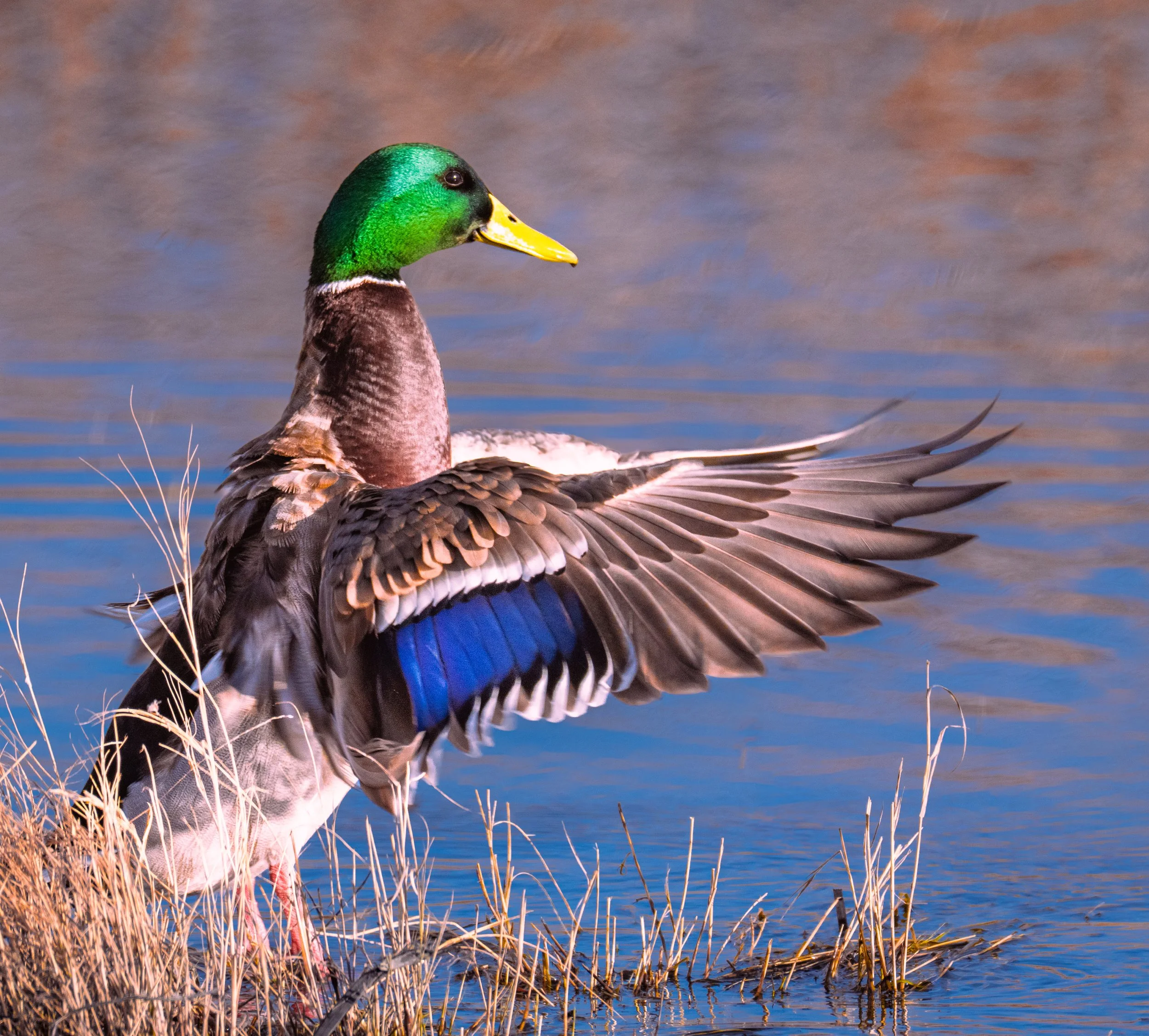 JD7_6092-2.jpg