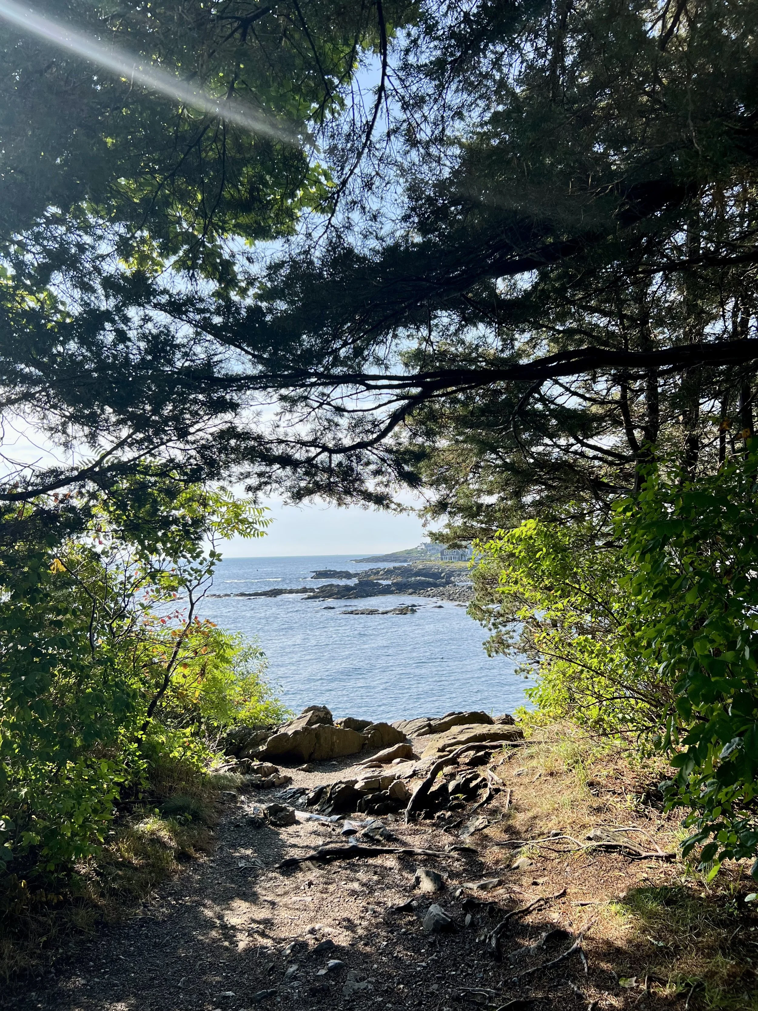 The Science of Grounding & Body Awareness: Reconnecting to Your Inner Calm