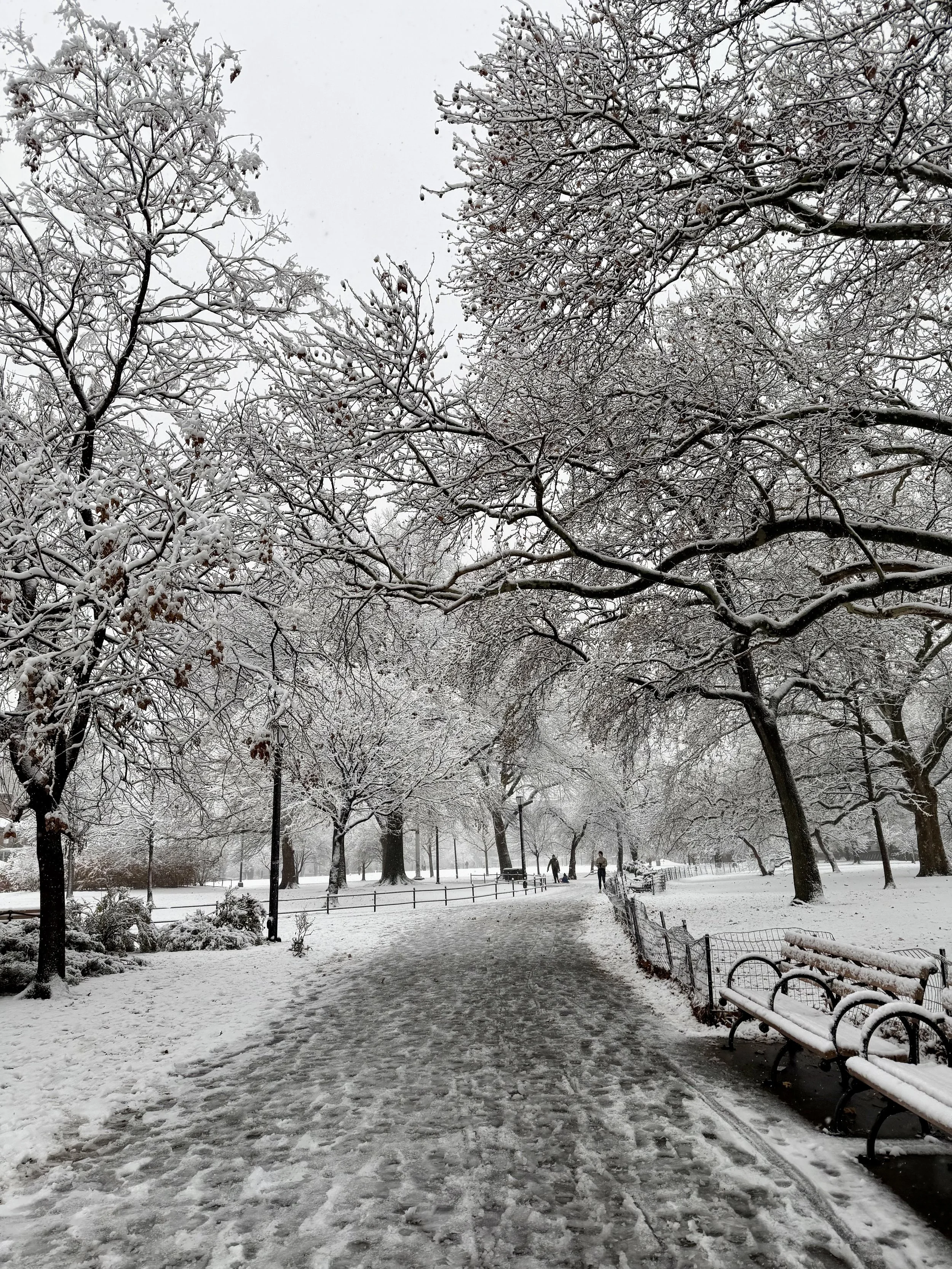 Getting Through the Final Stretch of Winter